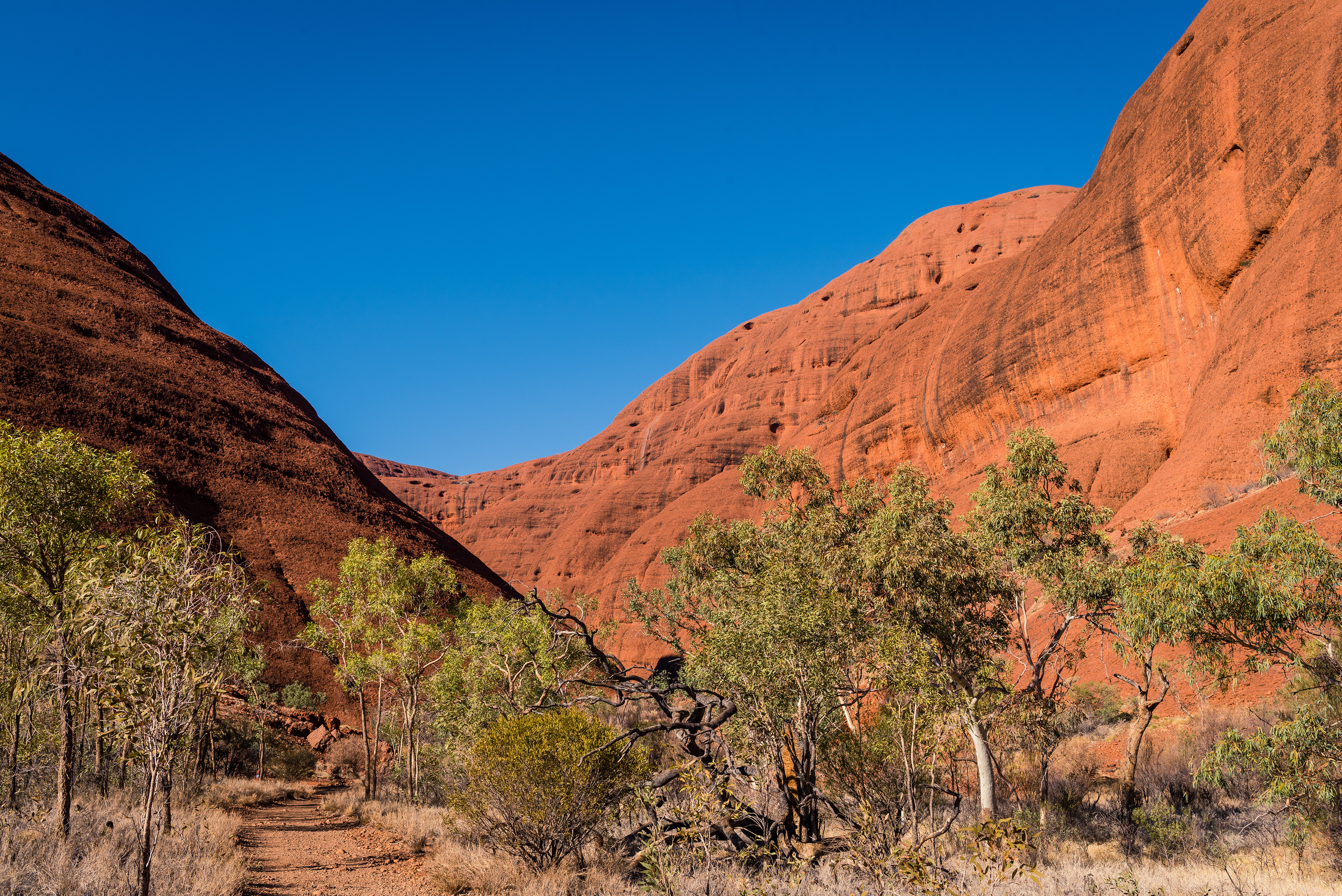 Kata Tjuta