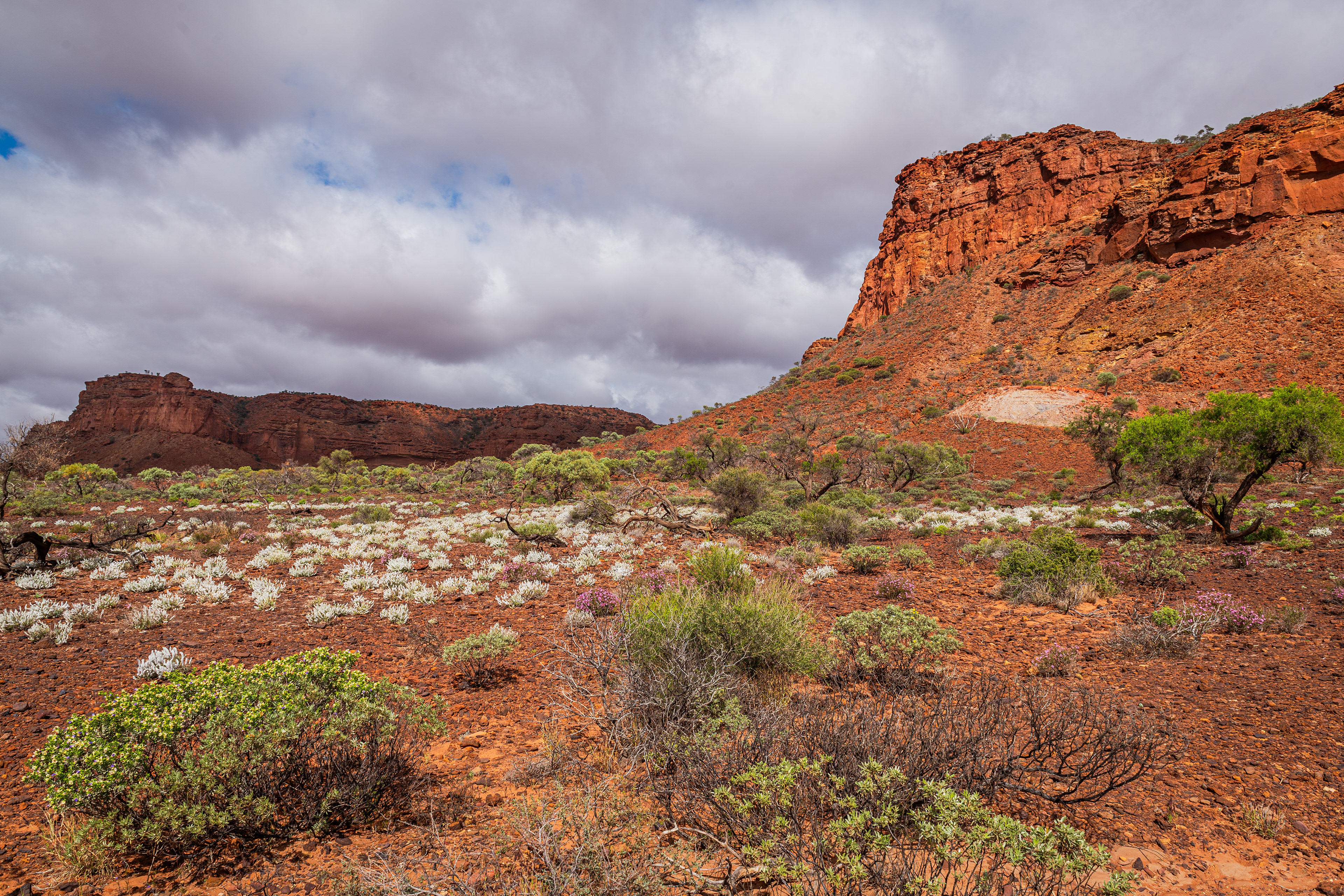 Kennedy Range National Park