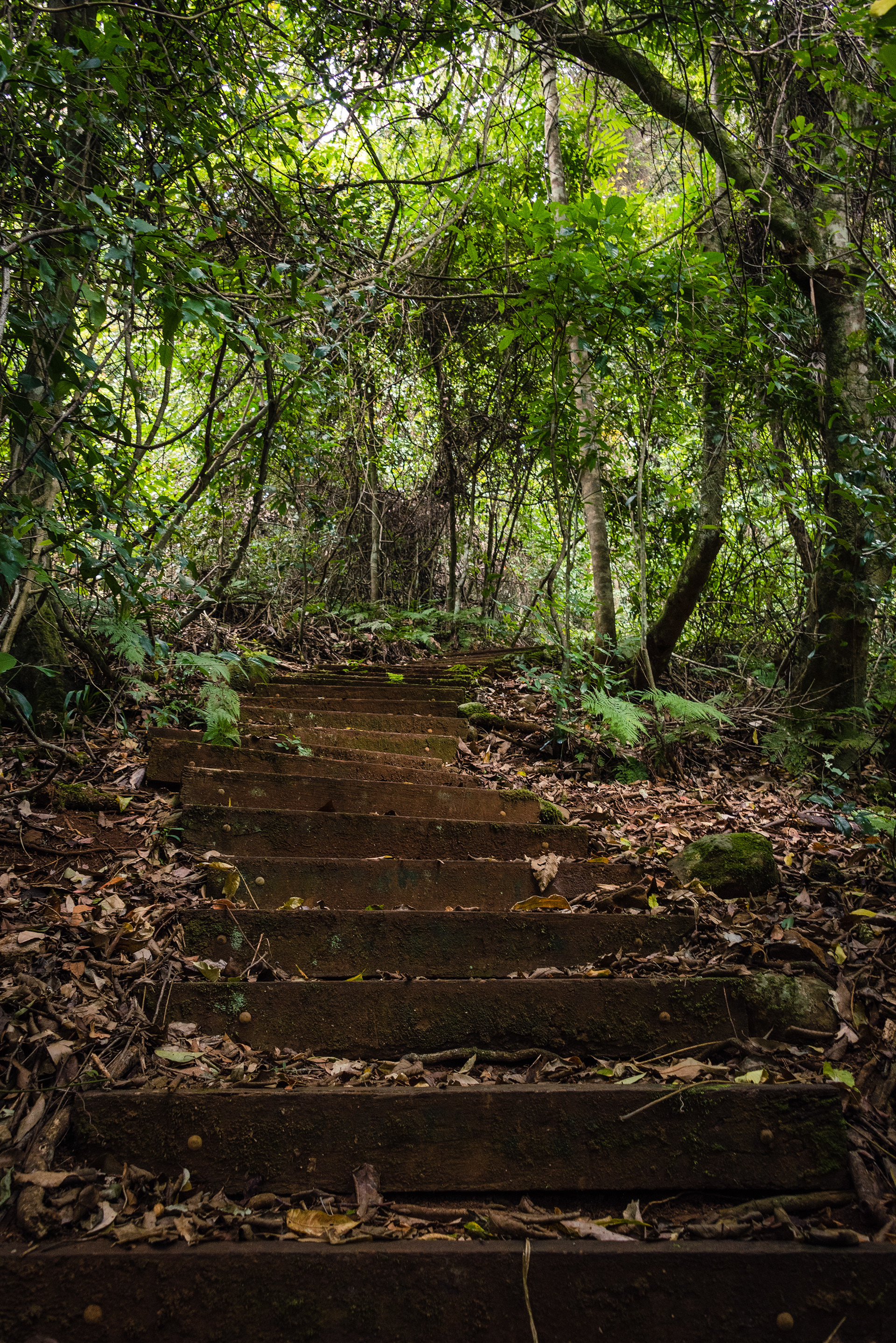Richmond Range National Park