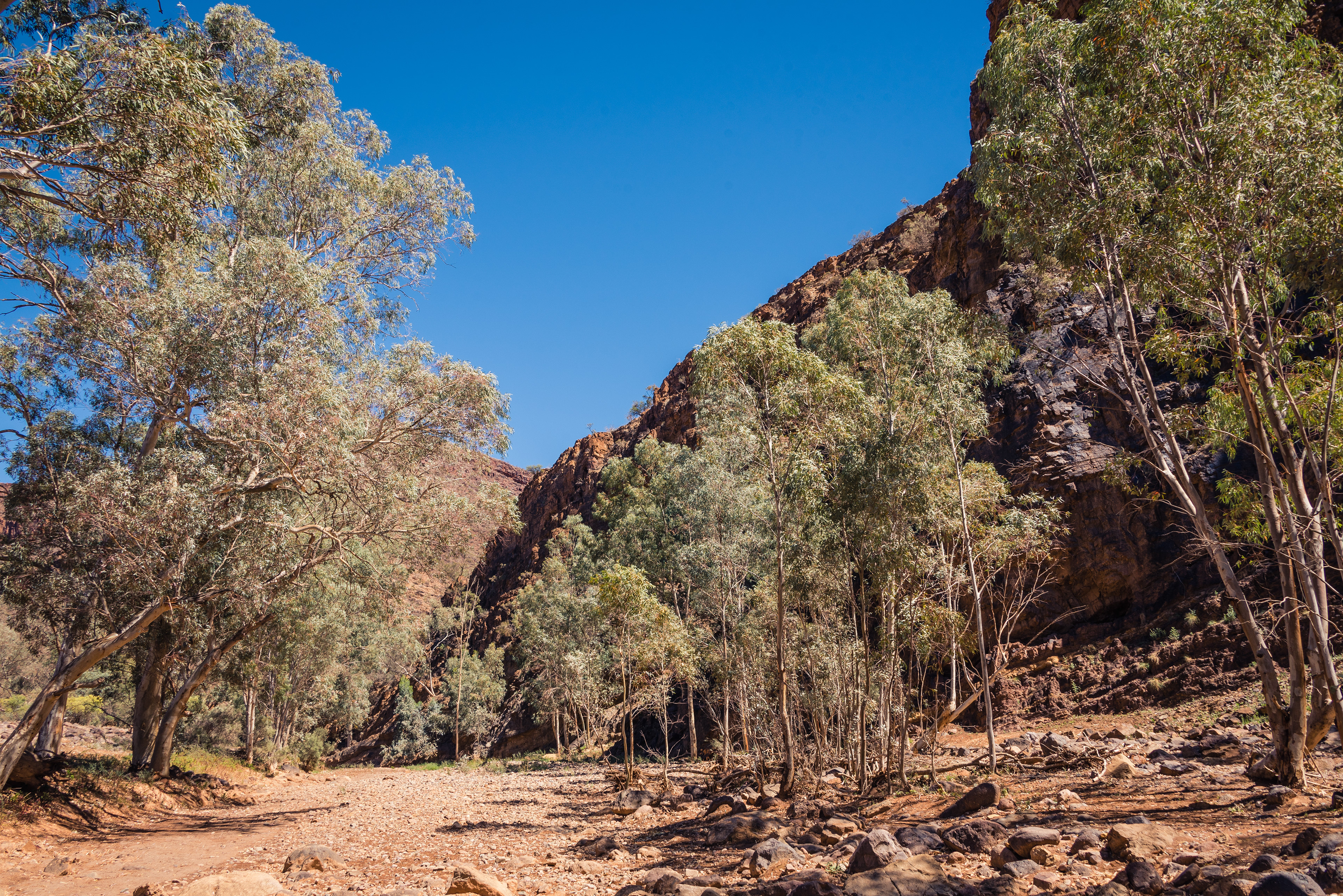 Arkaroola Wilderness Sanctuary