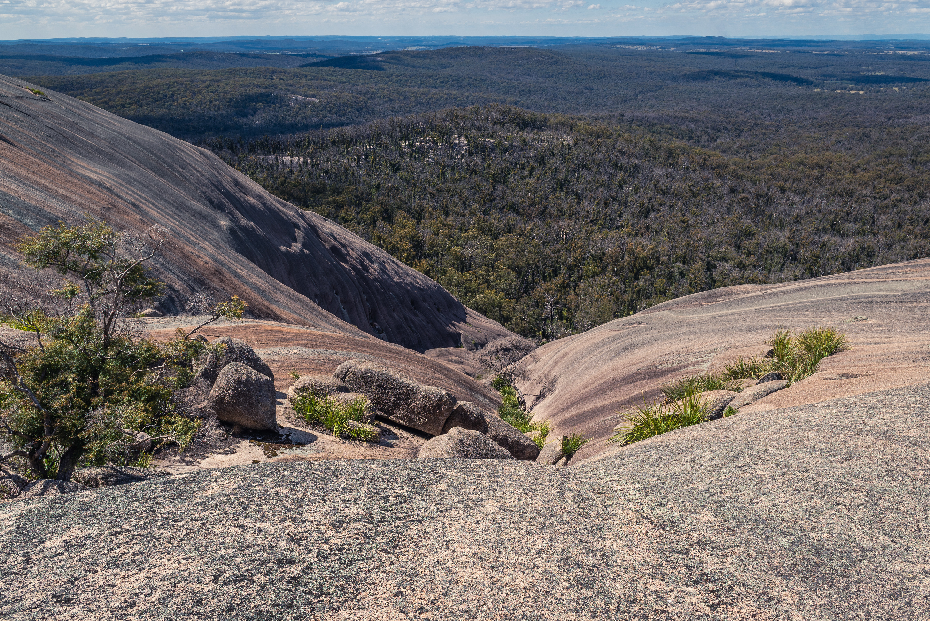 Bald Rock National Park