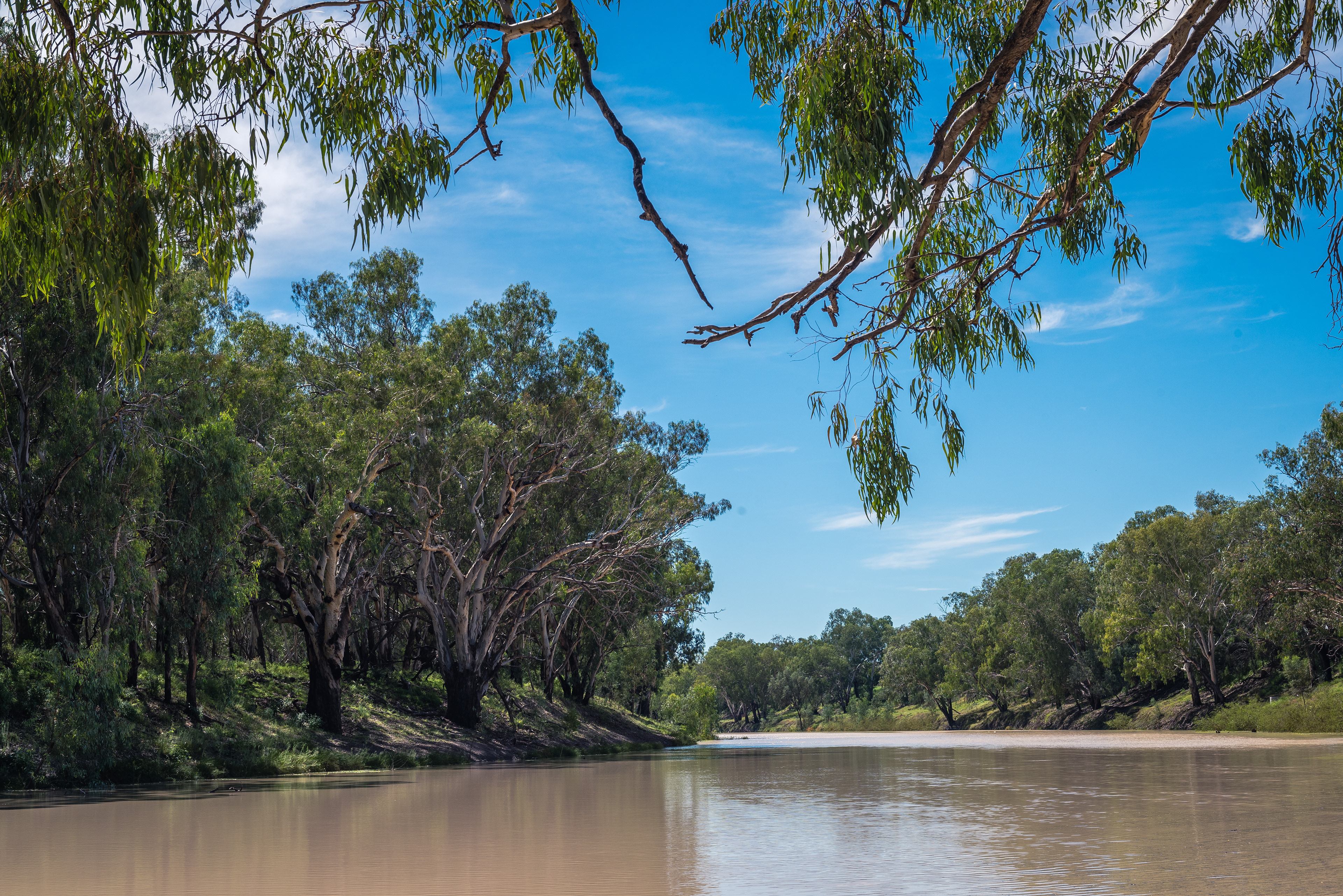 Darling River, Bourke