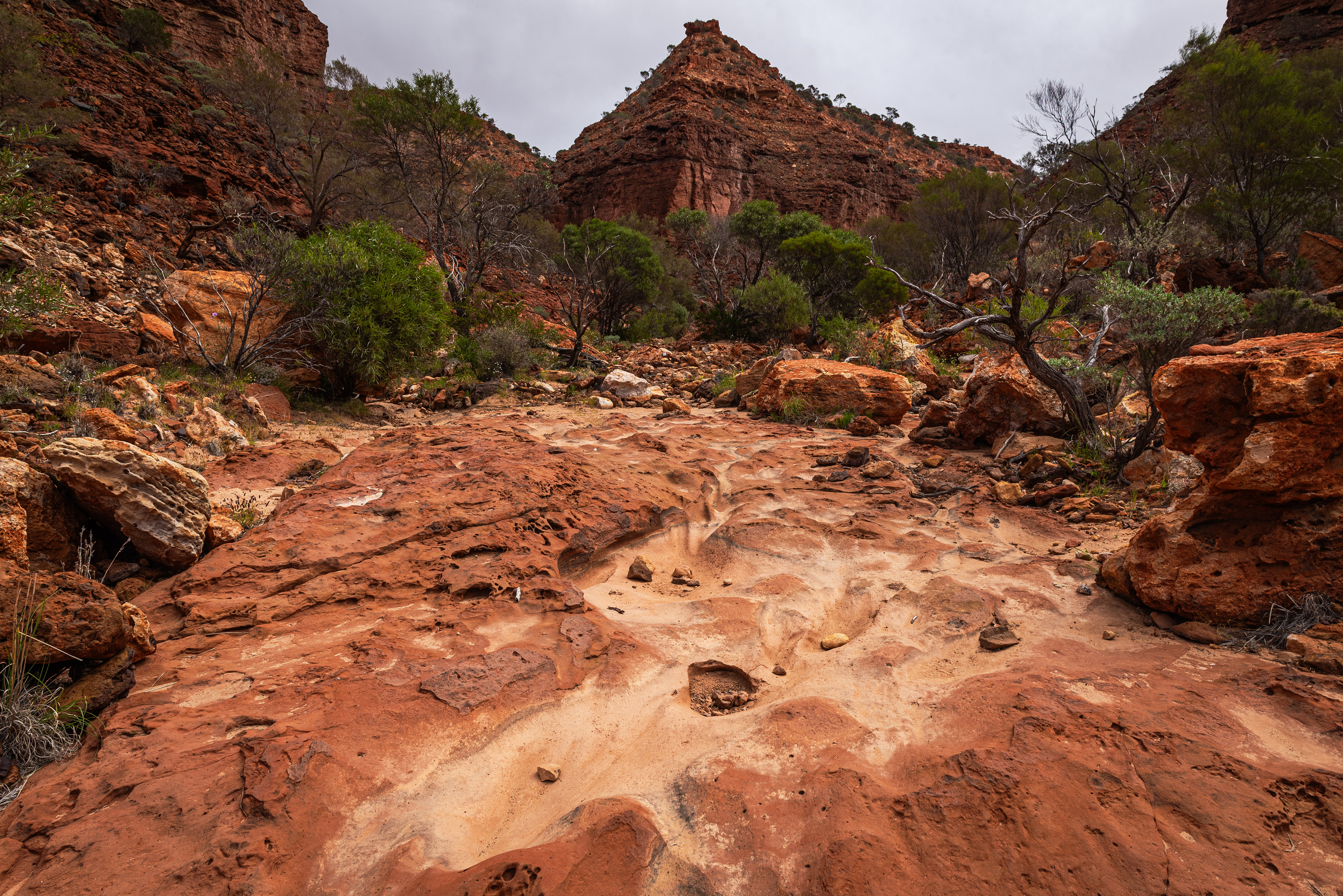 Kennedy Range National Park