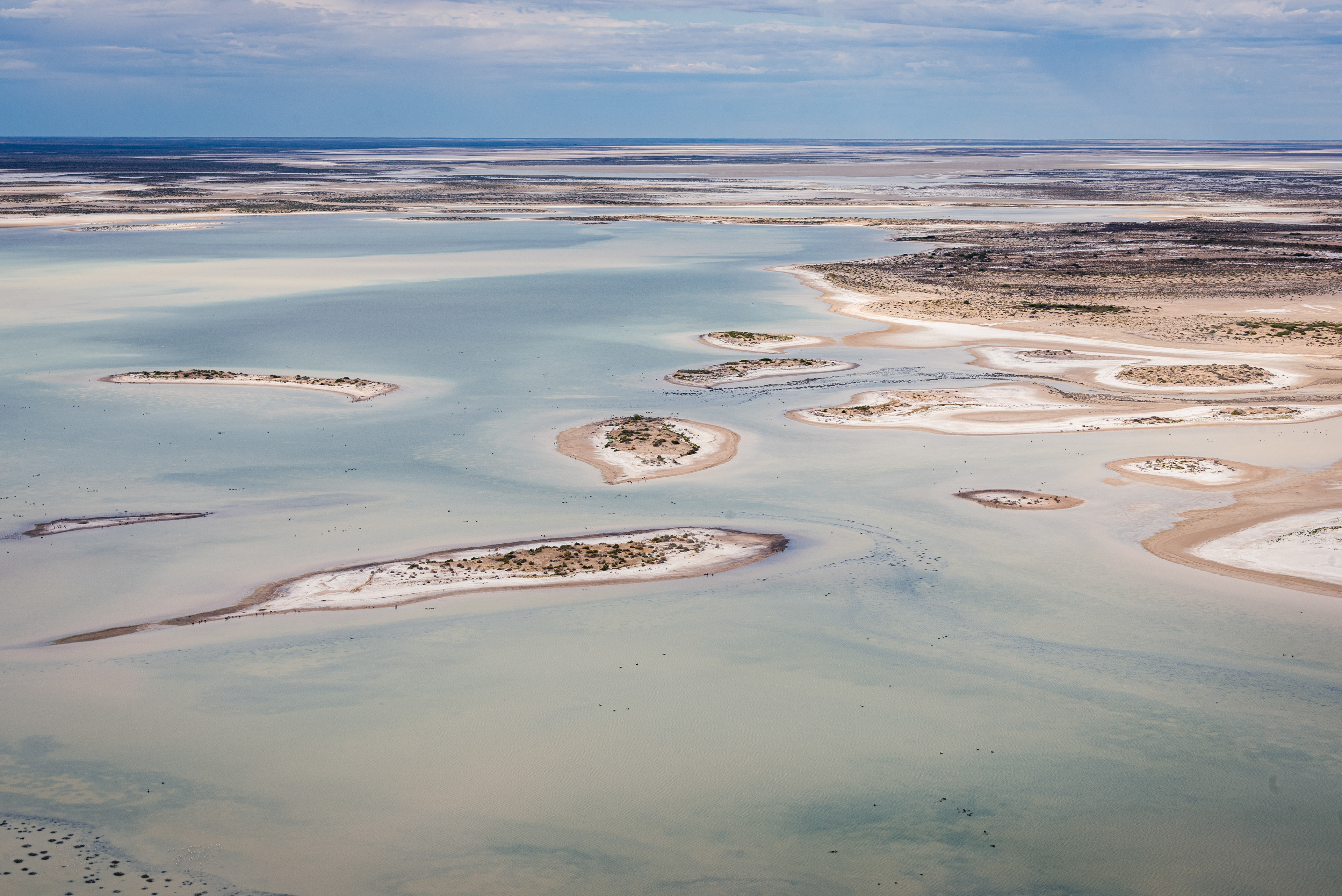 Lake Blanche, Strzelecki Desert