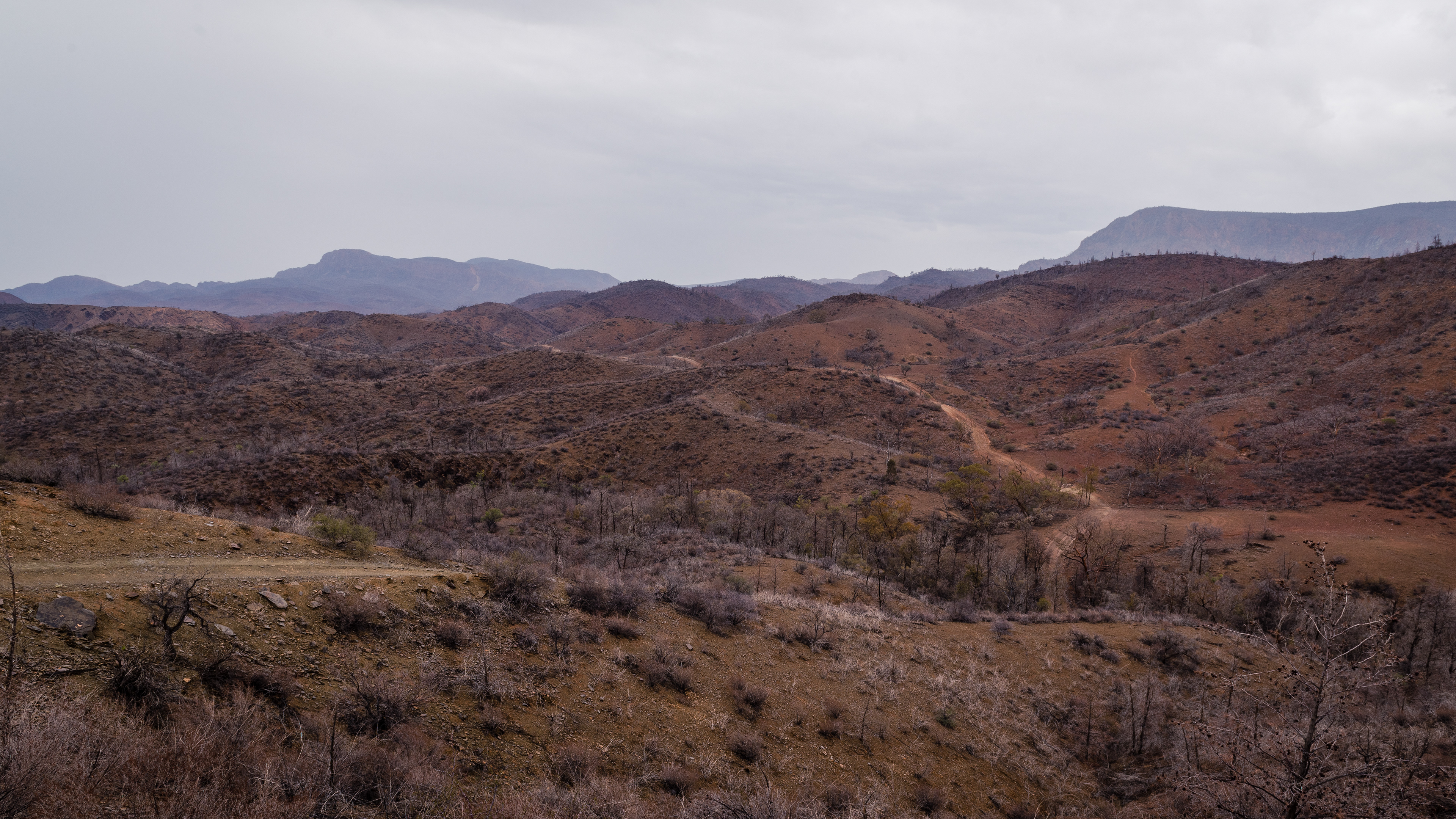 Arkaroola Wilderness Sanctuary