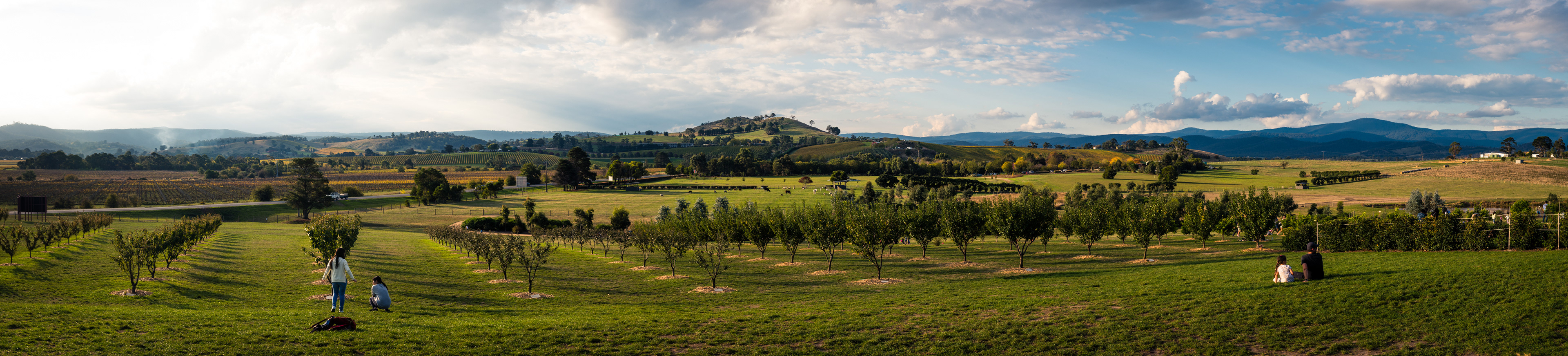 Yarra Valley