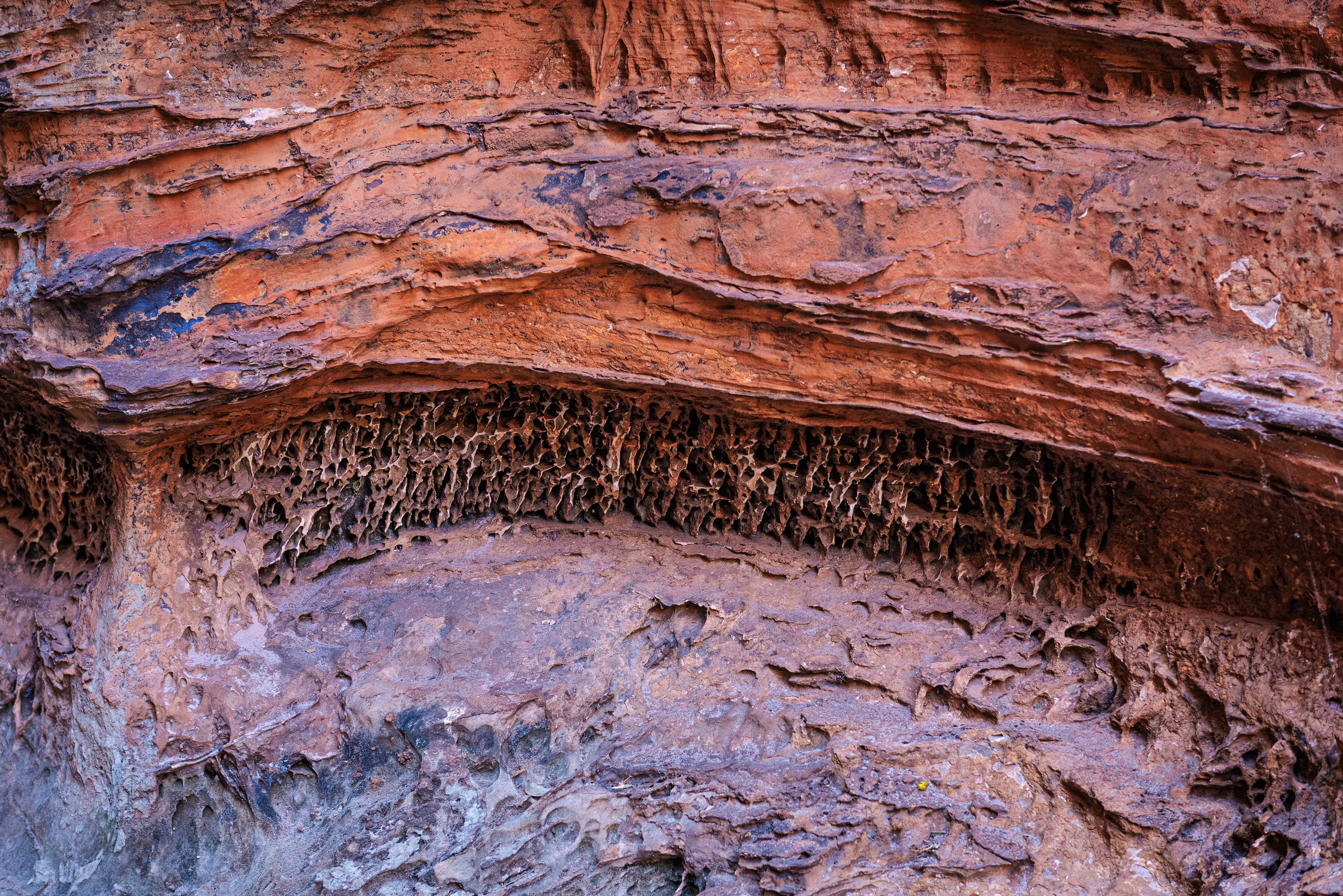 The Bungle Bungles, Purnululu National Park