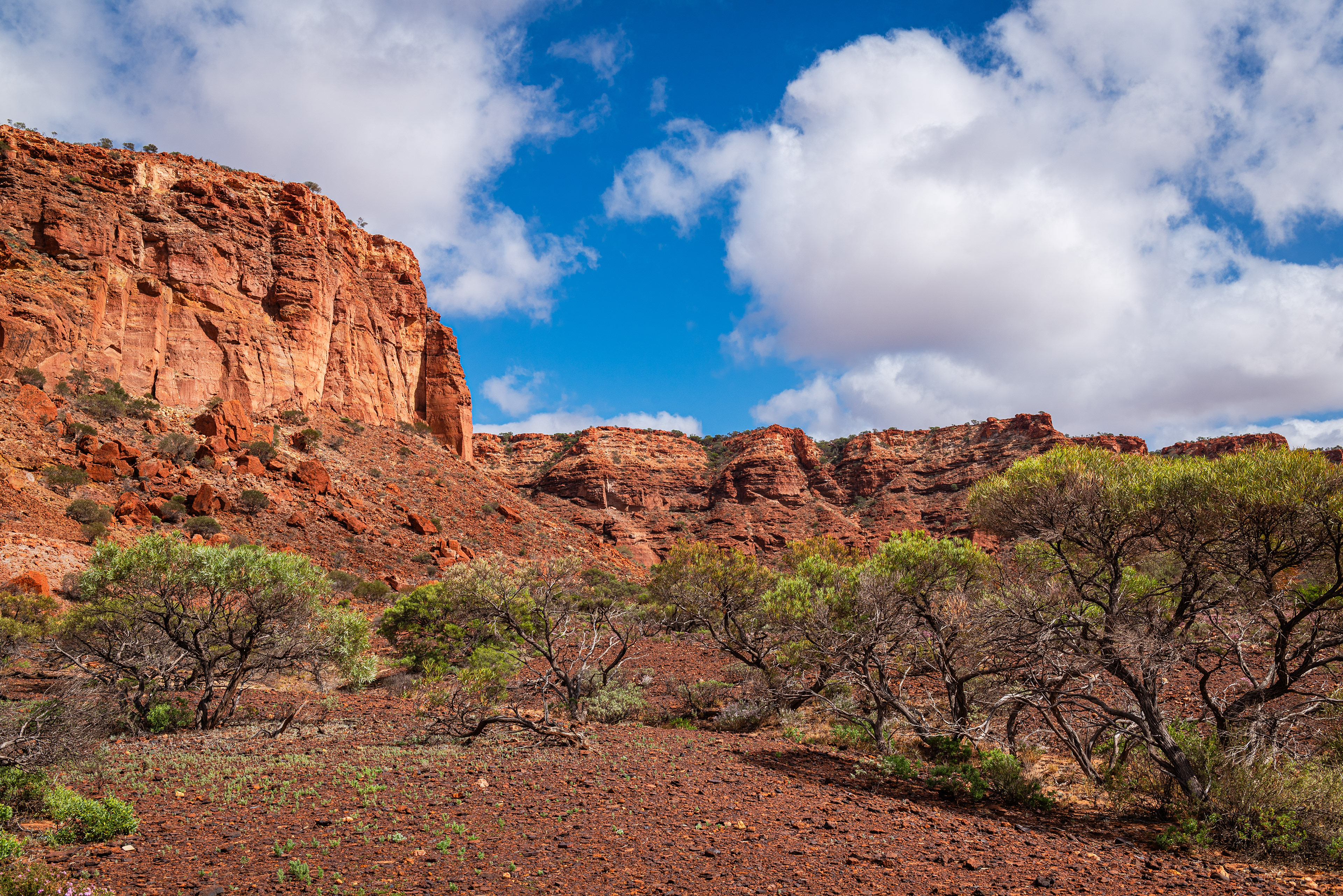 Kennedy Range National Park