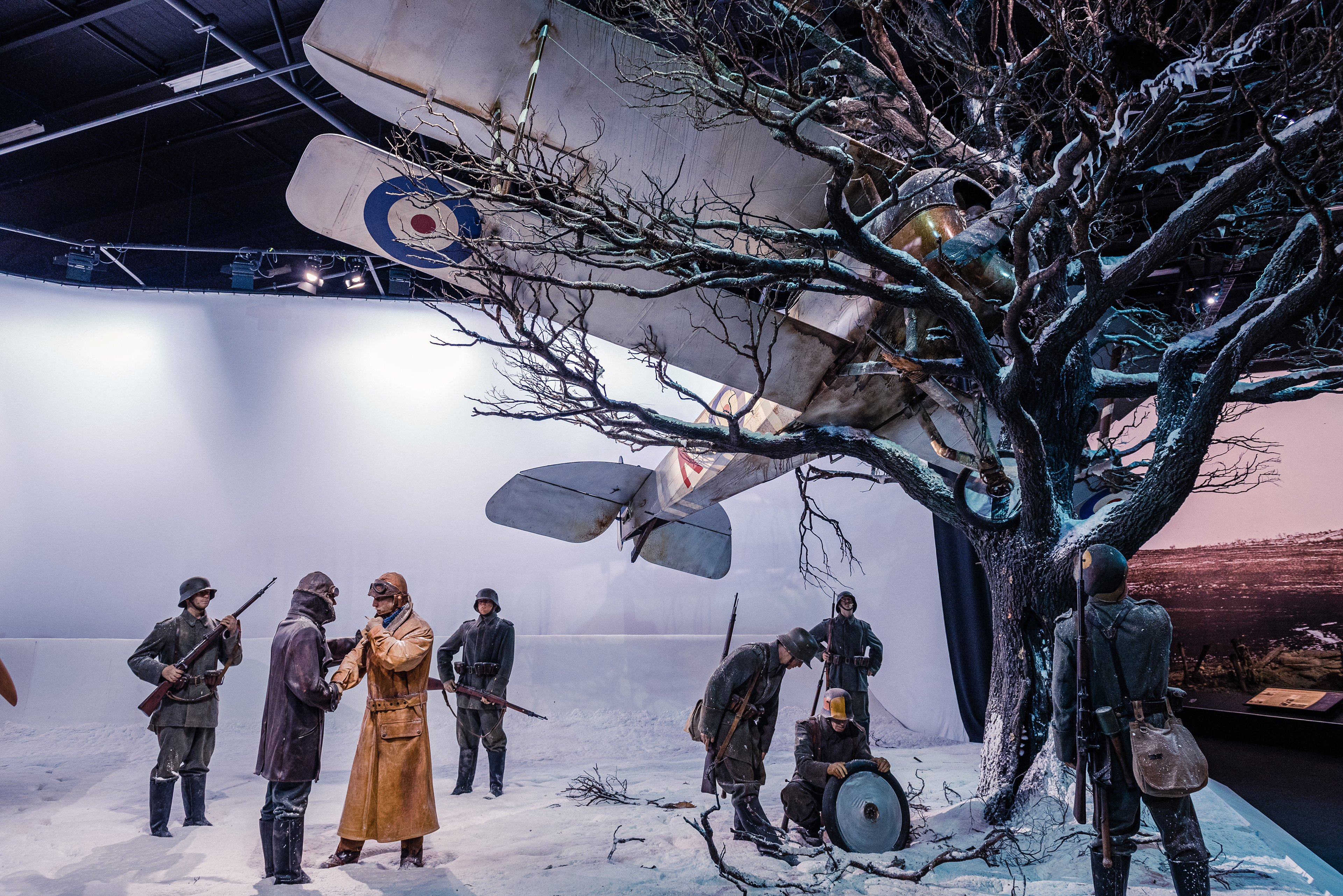 Omaka Aviation Heritage Centre, Blenheim, South Island