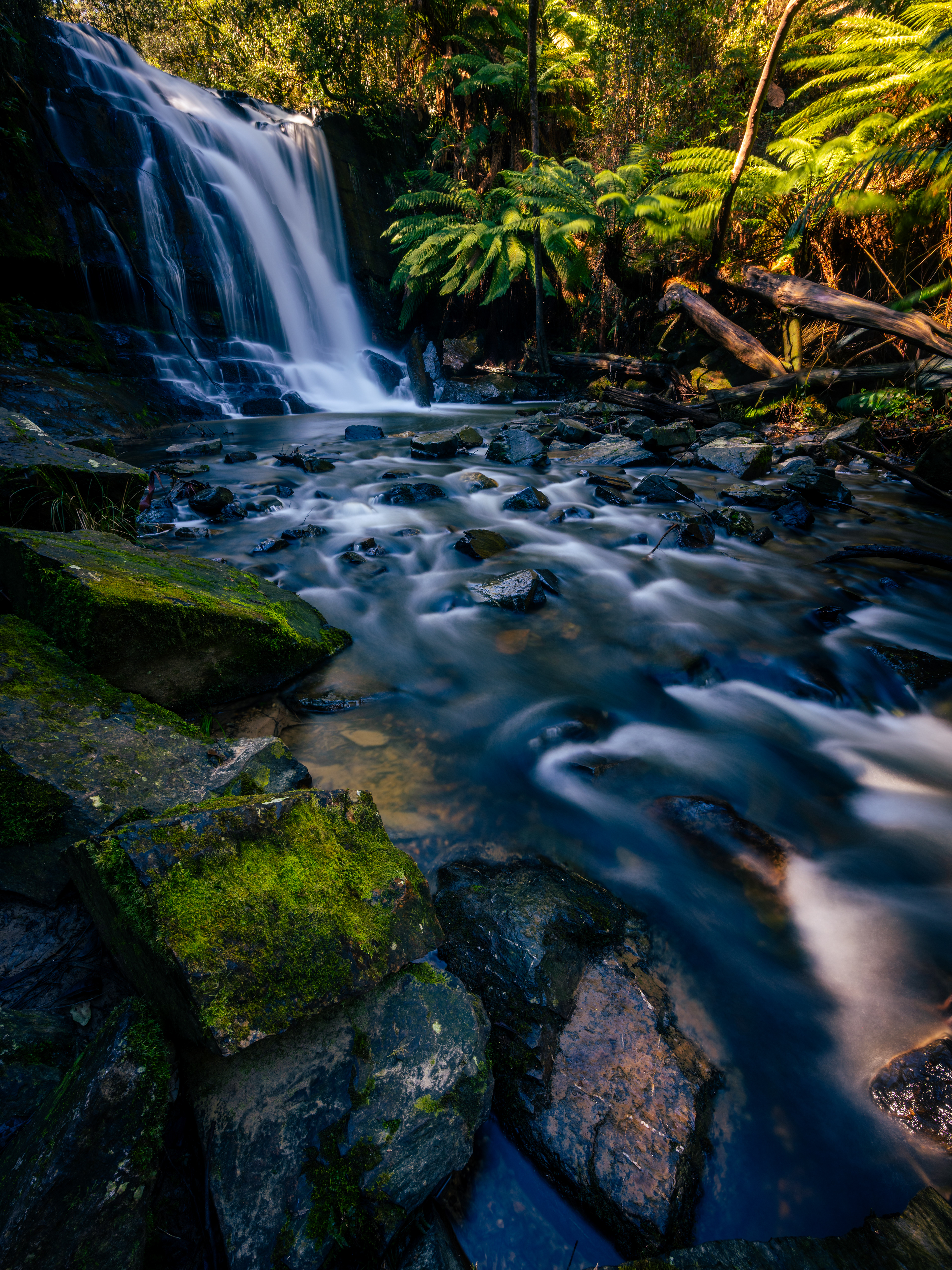 Lilydale Falls