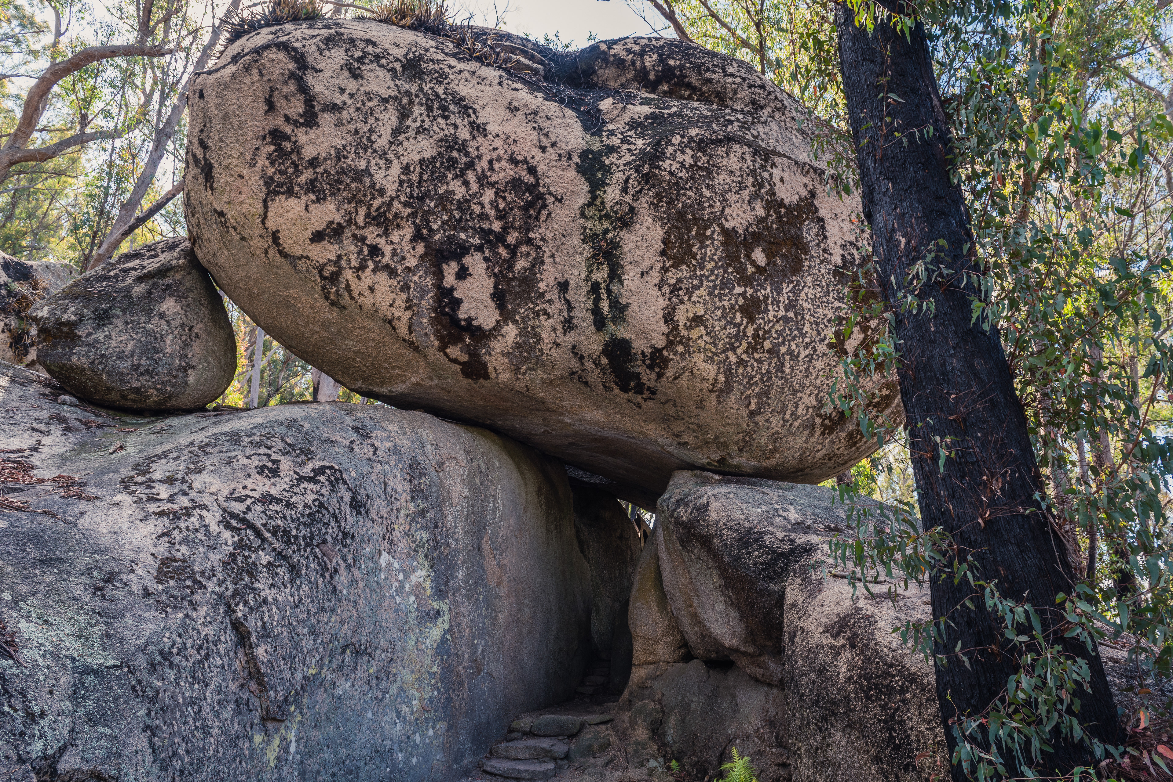 Bald Rock National Park