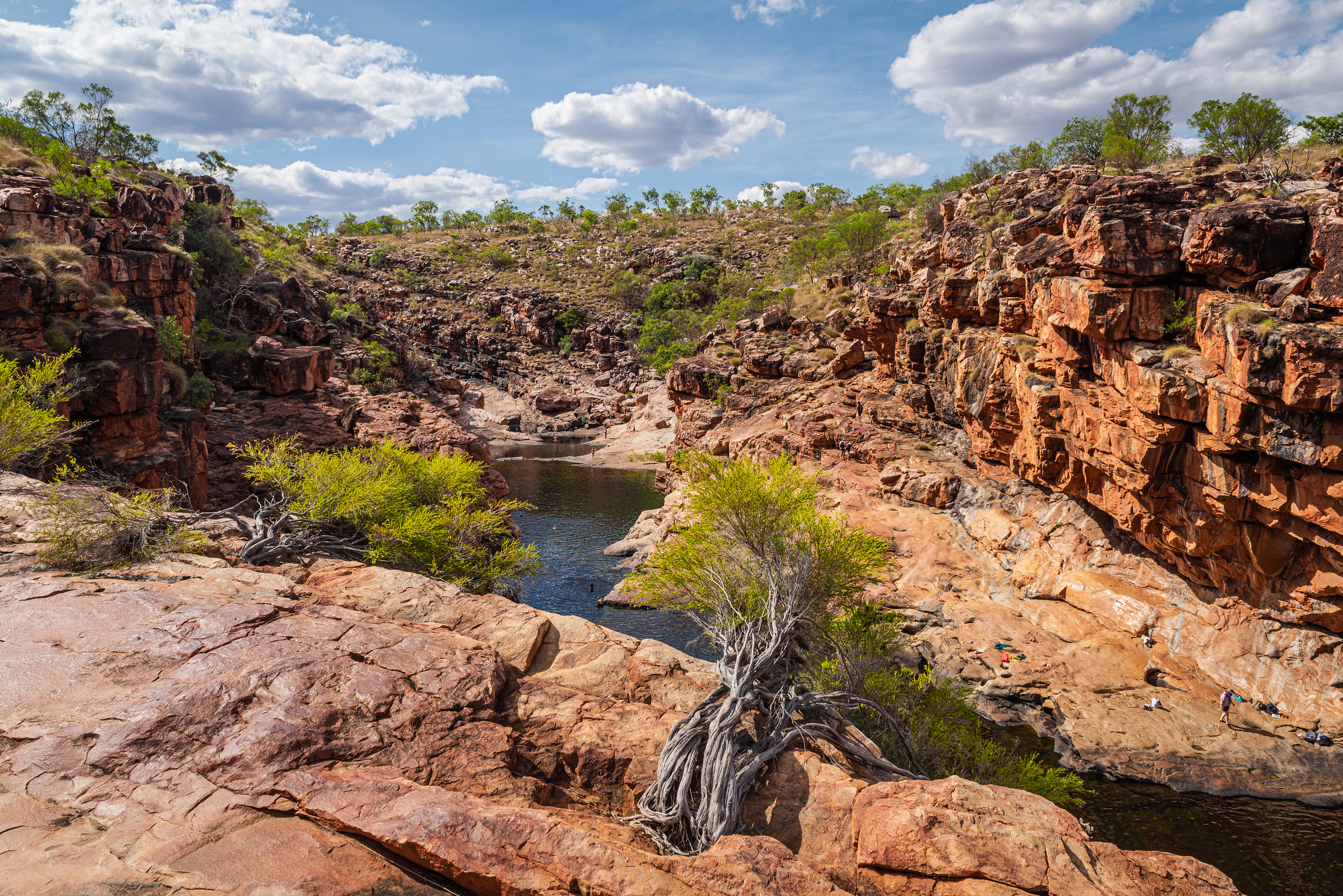 Bell Gorge (Dalmanyi)