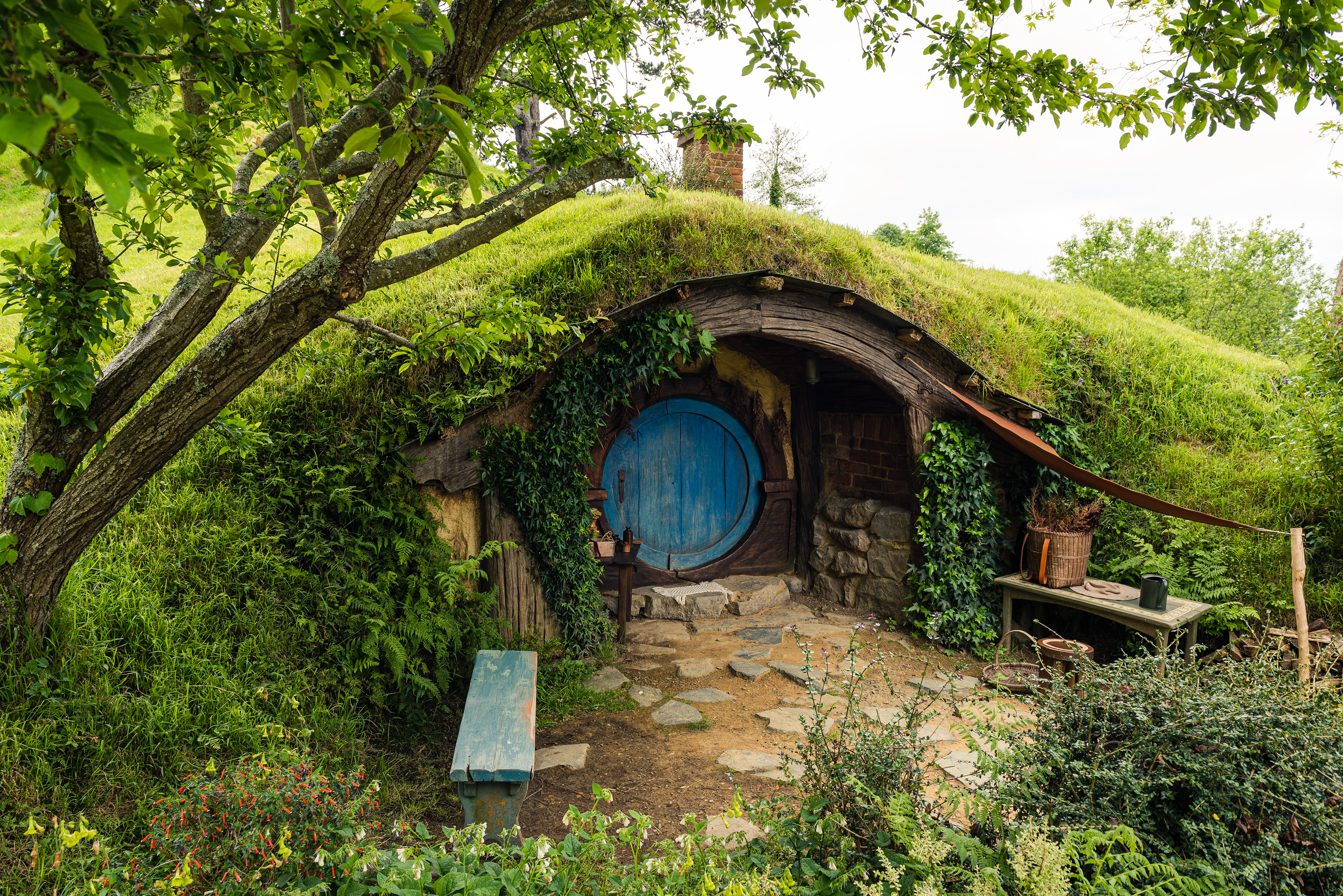 Hobbiton Movie Set, North Island