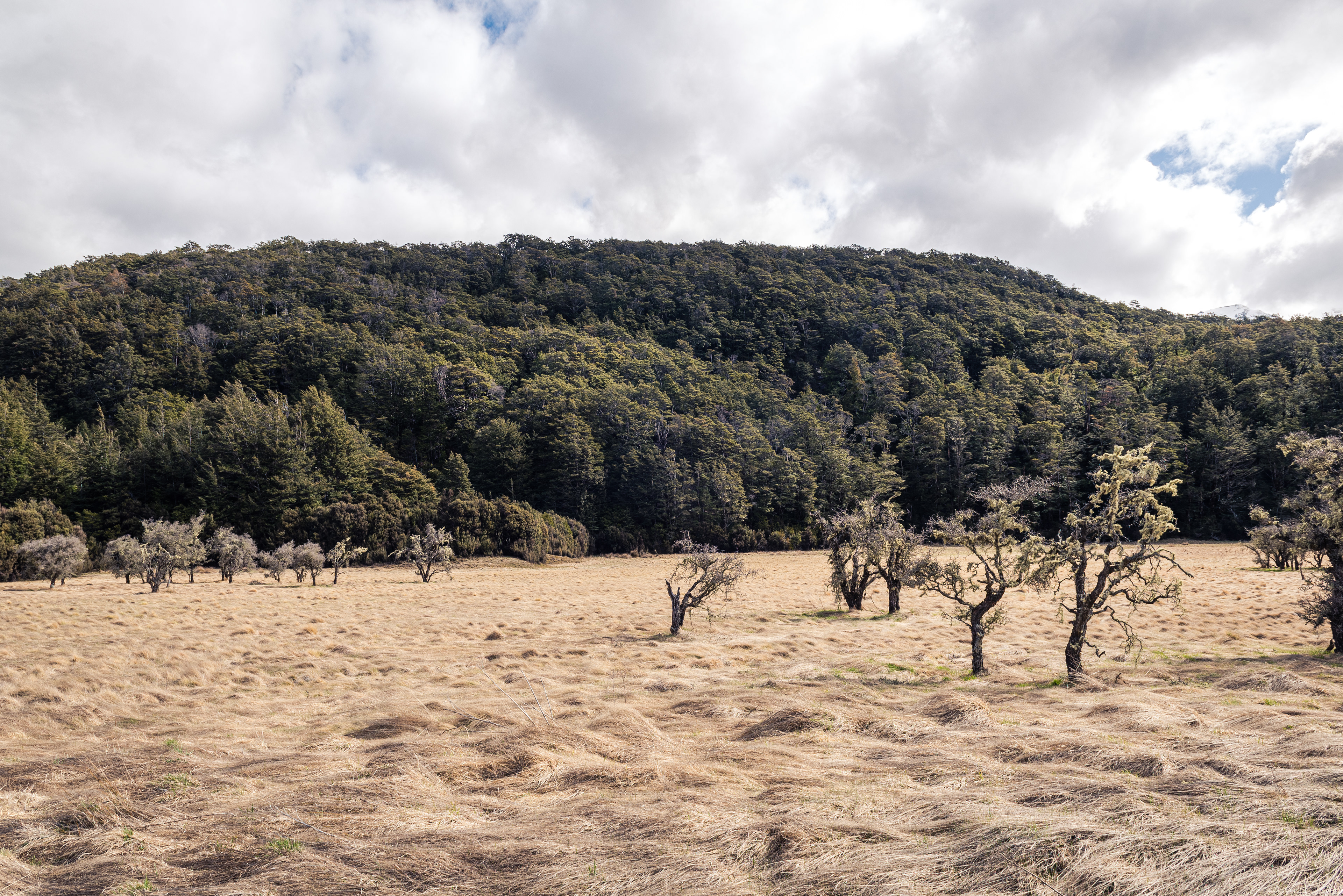 Glenorchy, South Island