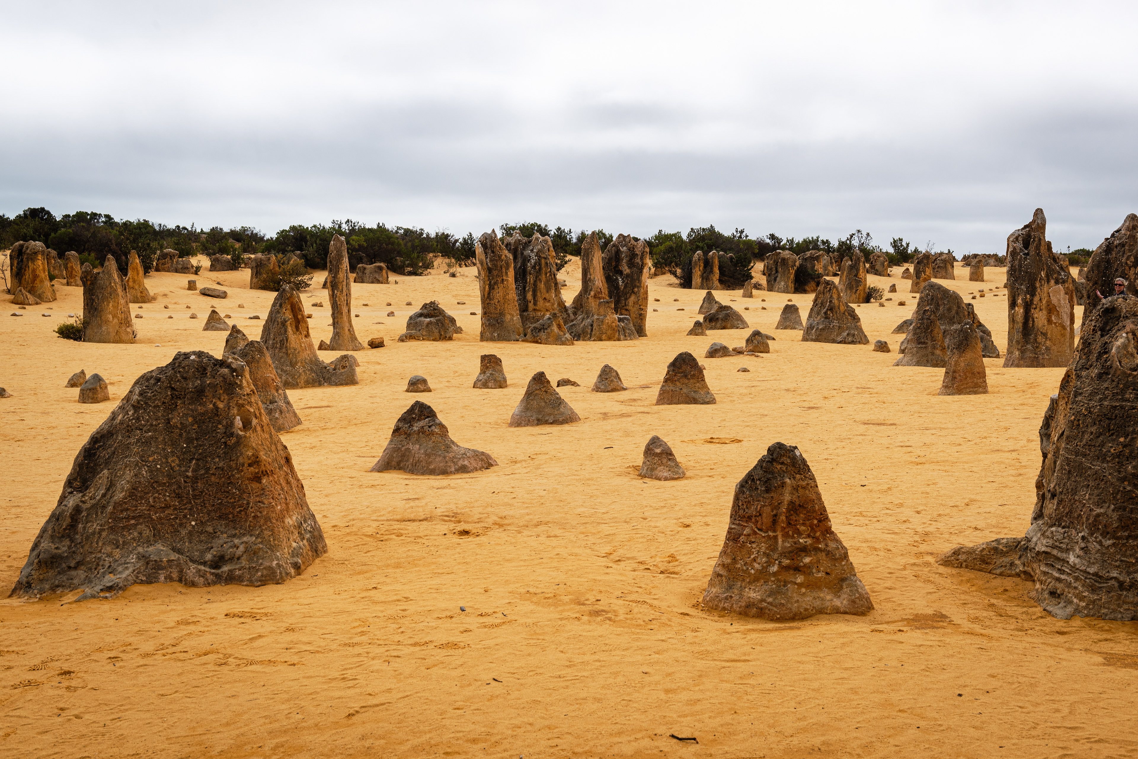The Pinnacles Desert, Nambung National Park