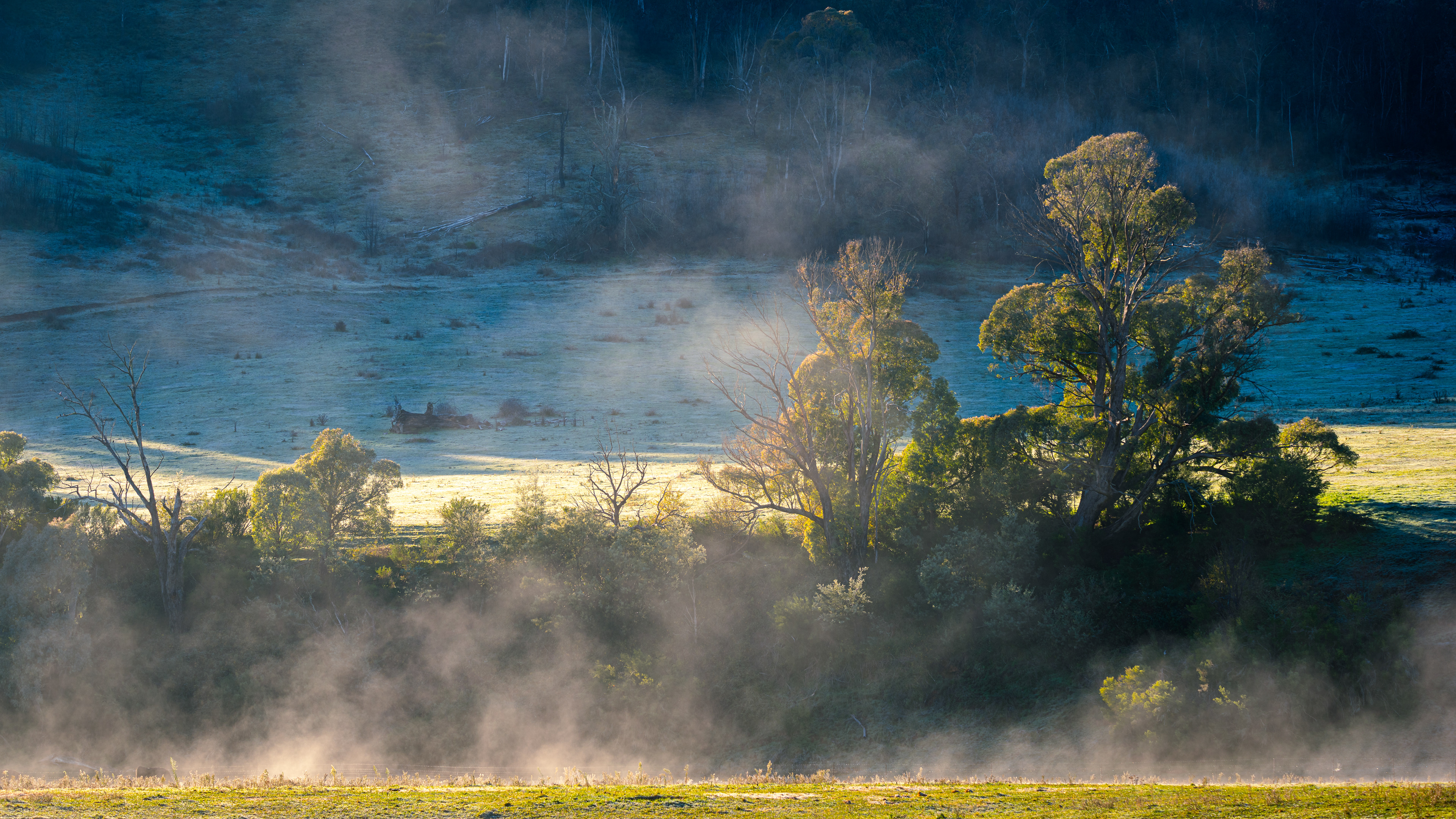 Corryong