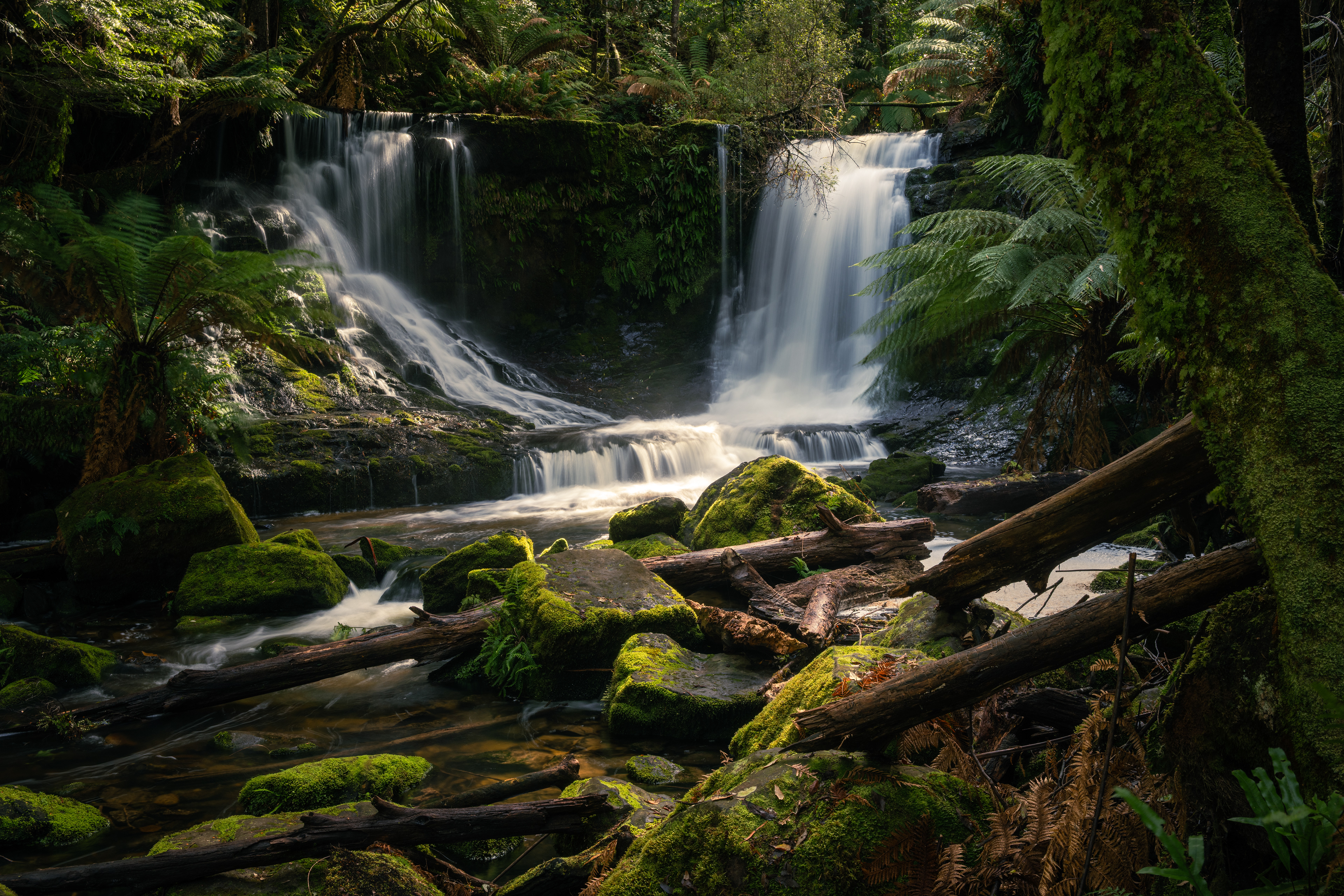 Mount Field National Park