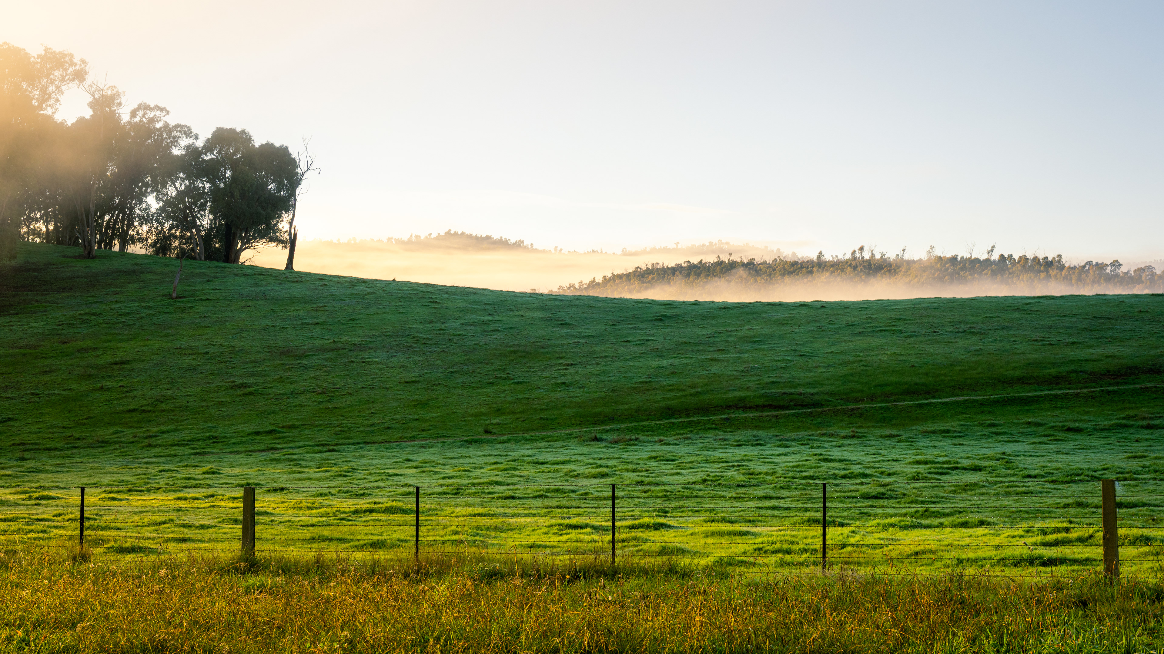 Corryong