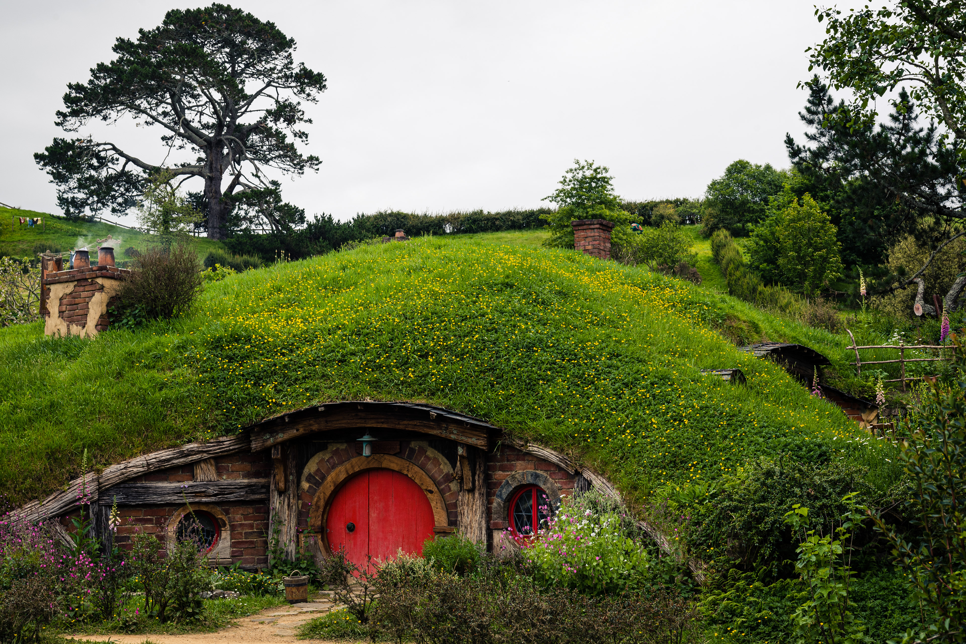 Hobbiton Movie Set, North Island