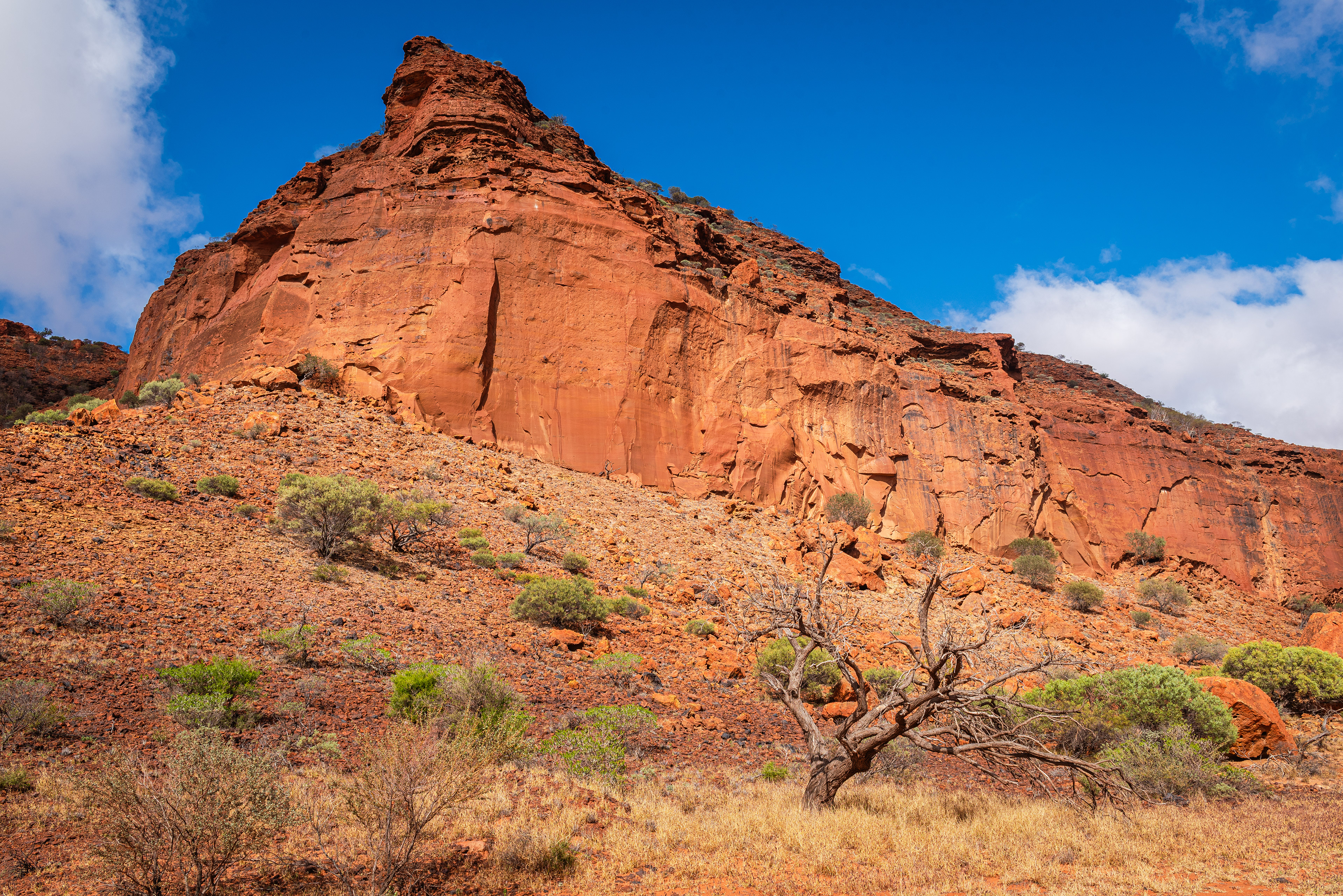 Kennedy Range National Park