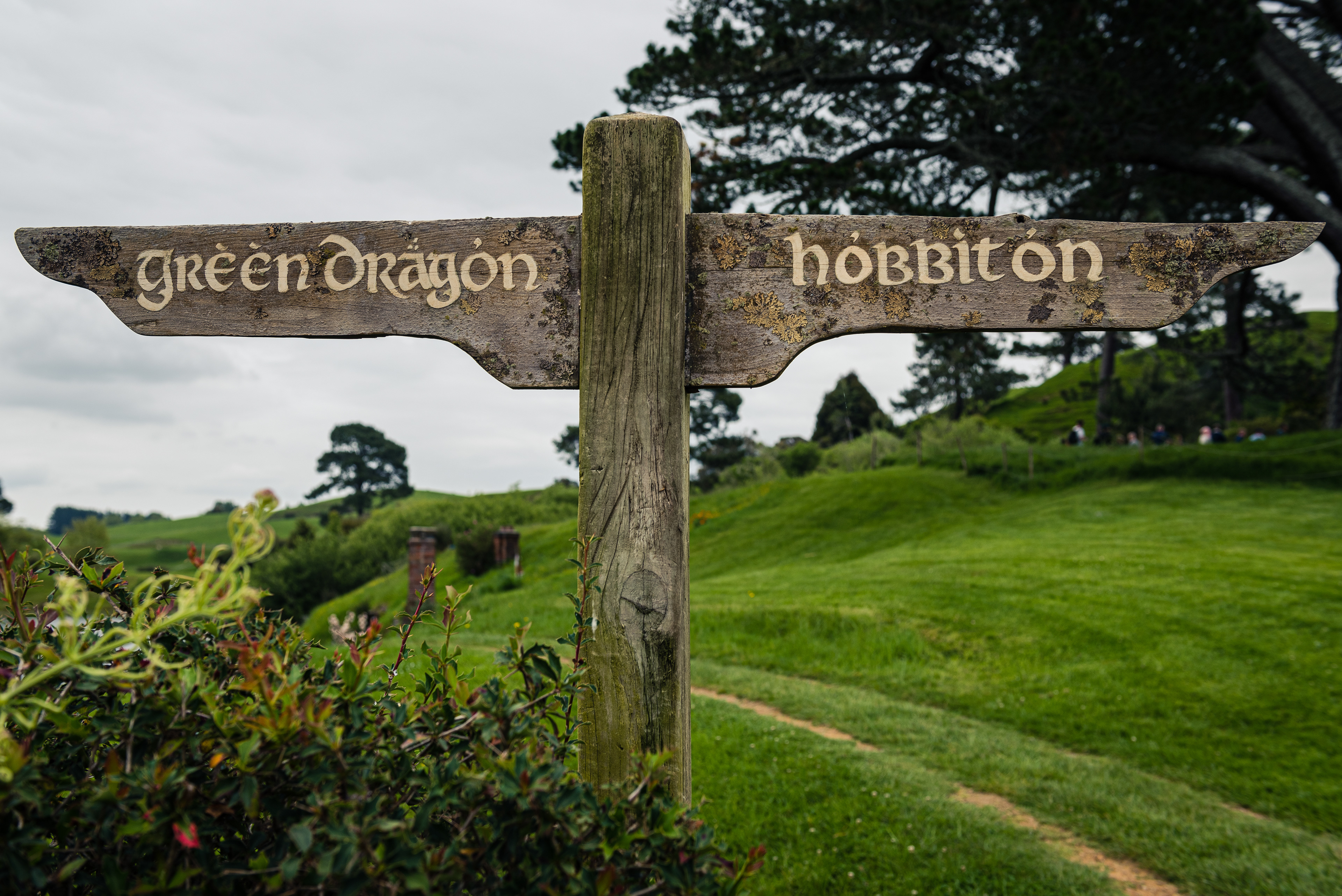 Hobbiton Movie Set, North Island