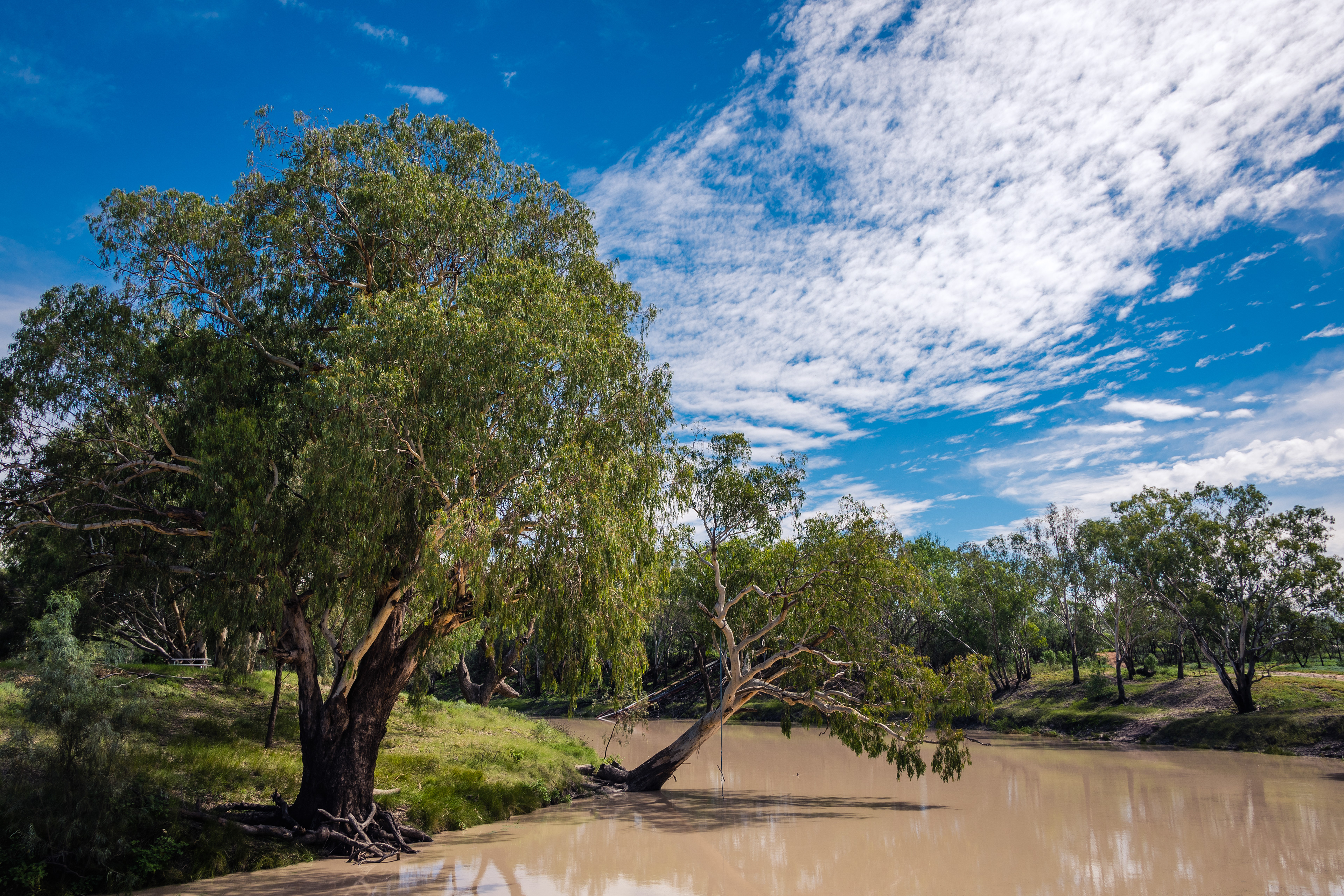 Darling River, Bourke