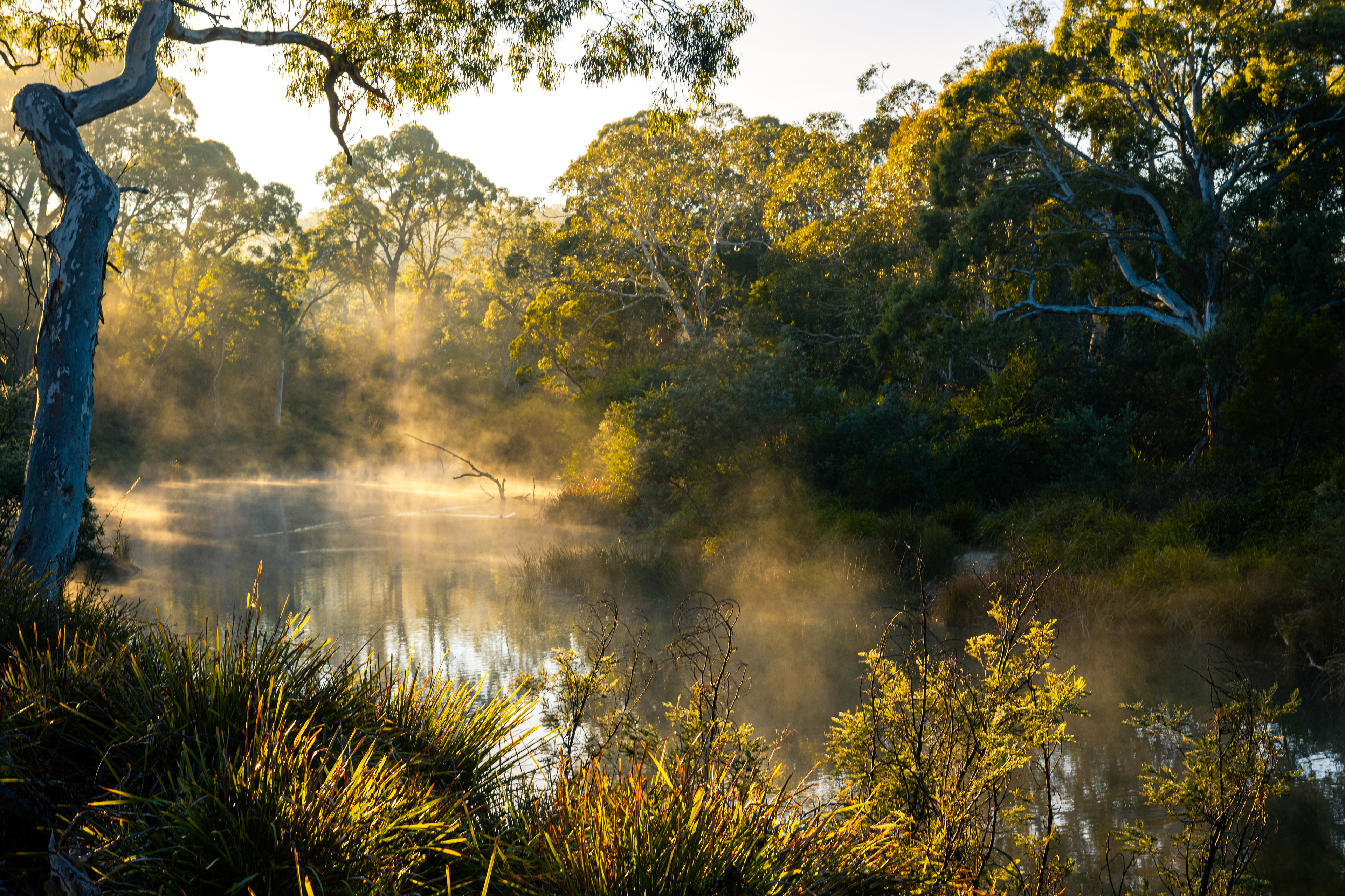 Berrima River Walk