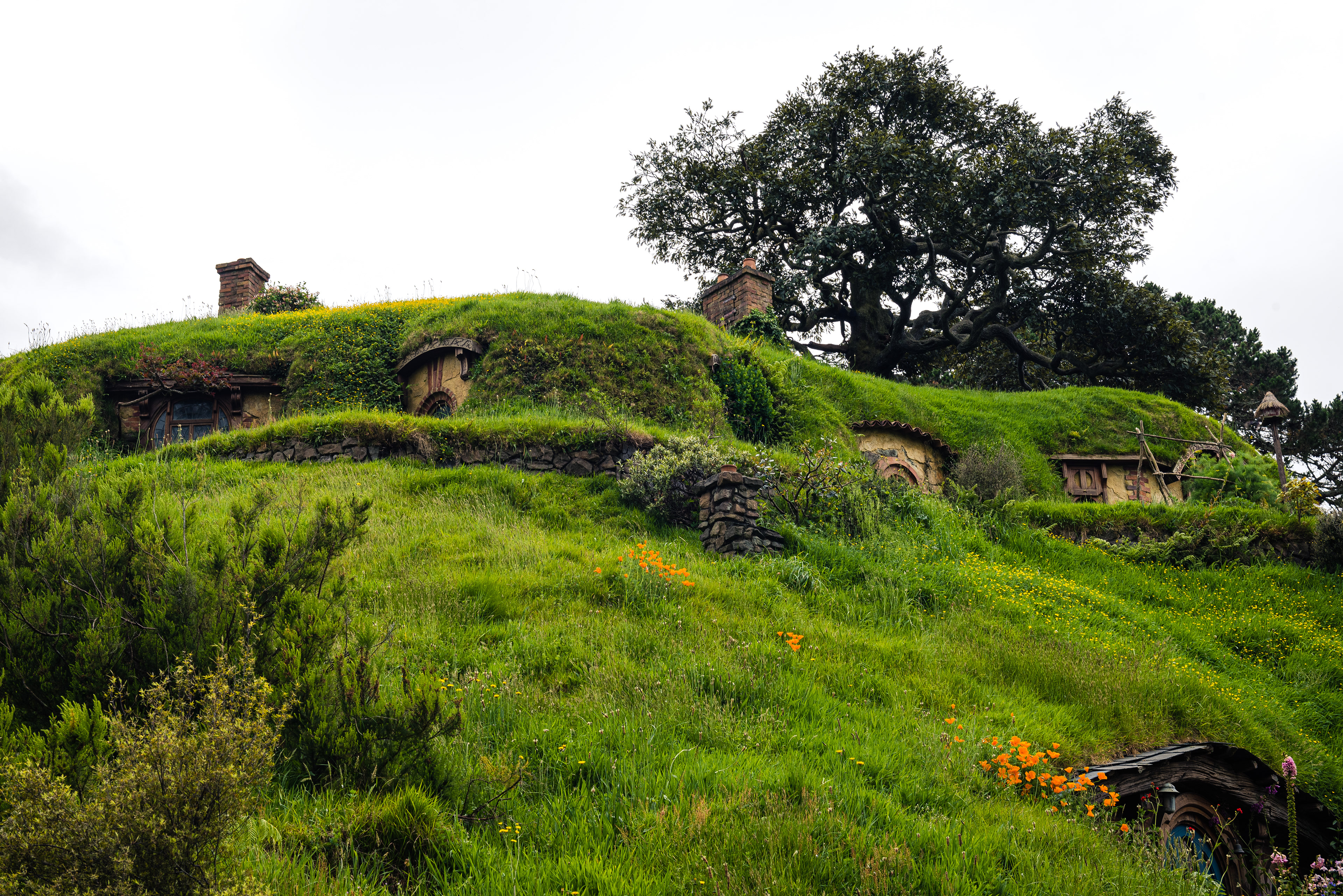Hobbiton Movie Set, North Island