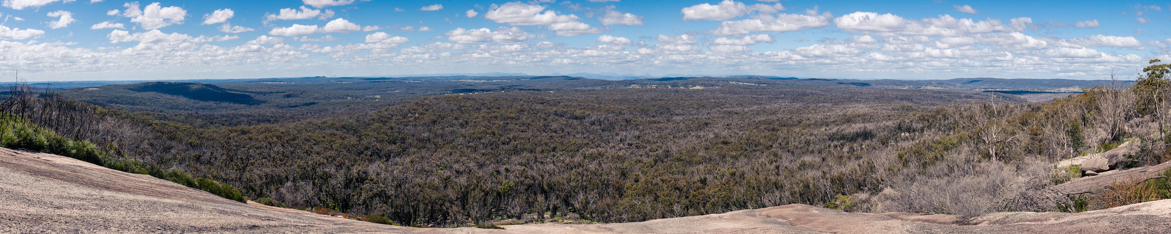 Bald Rock National Park