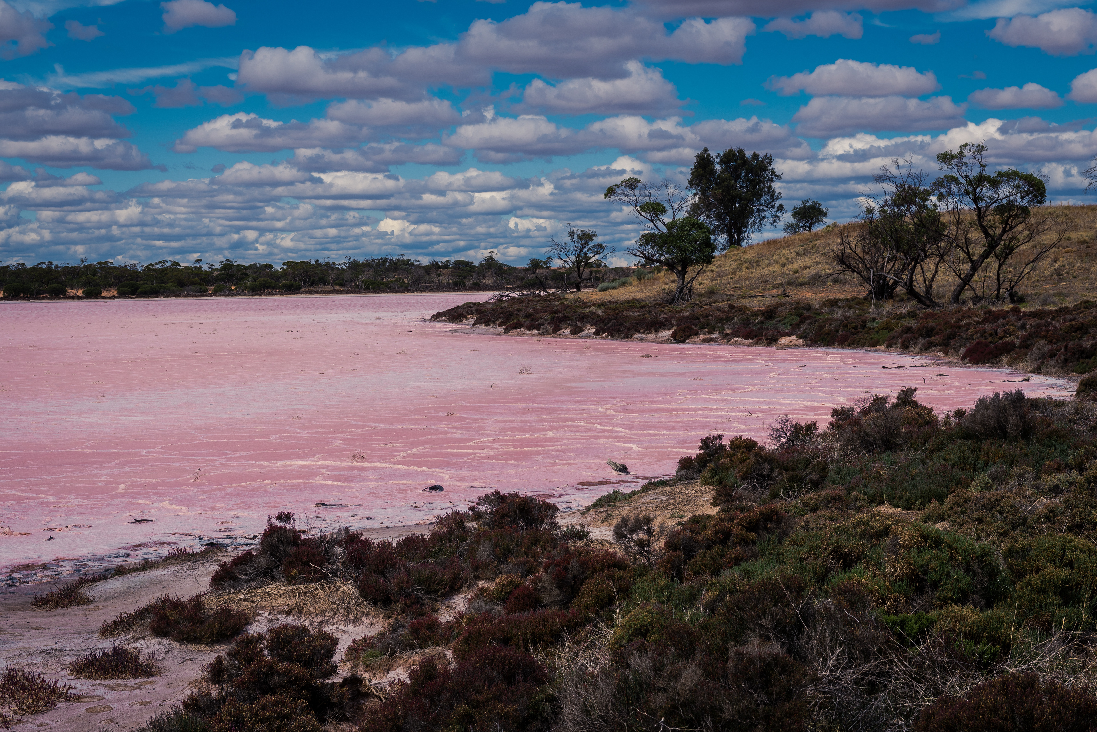 Lake Hardy, Murray Sunset National Park