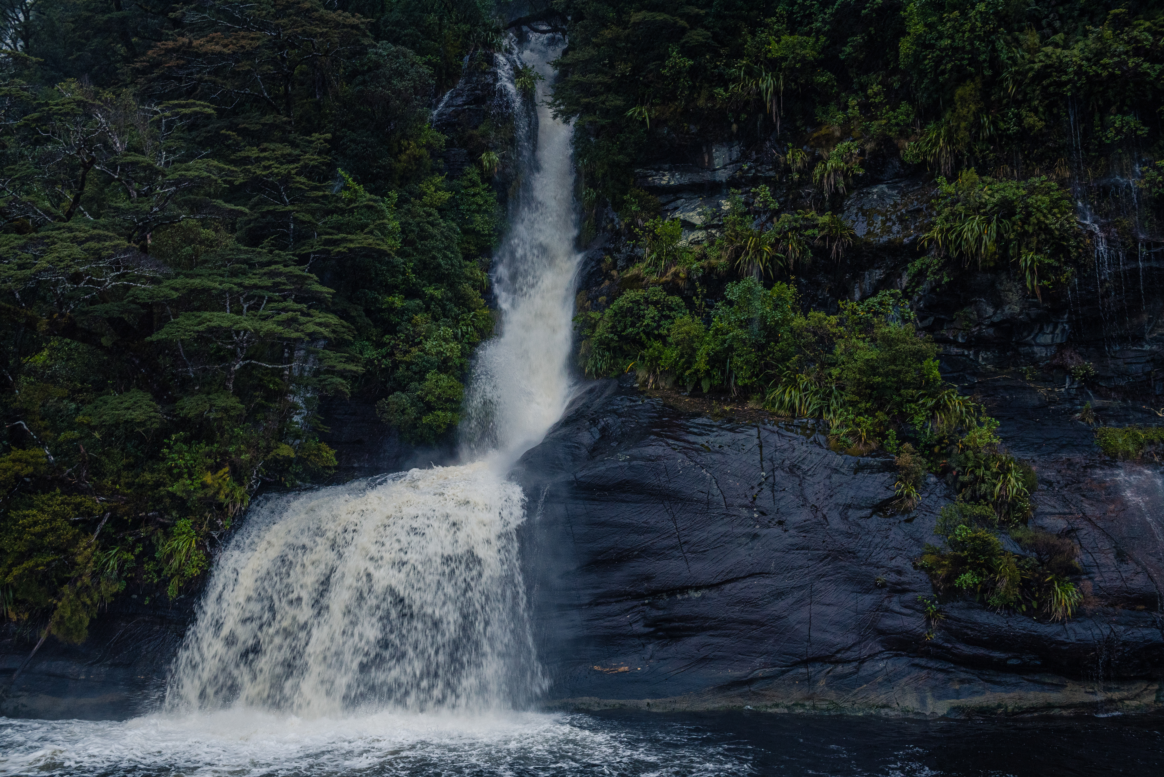 Doubtful Sound, South Island