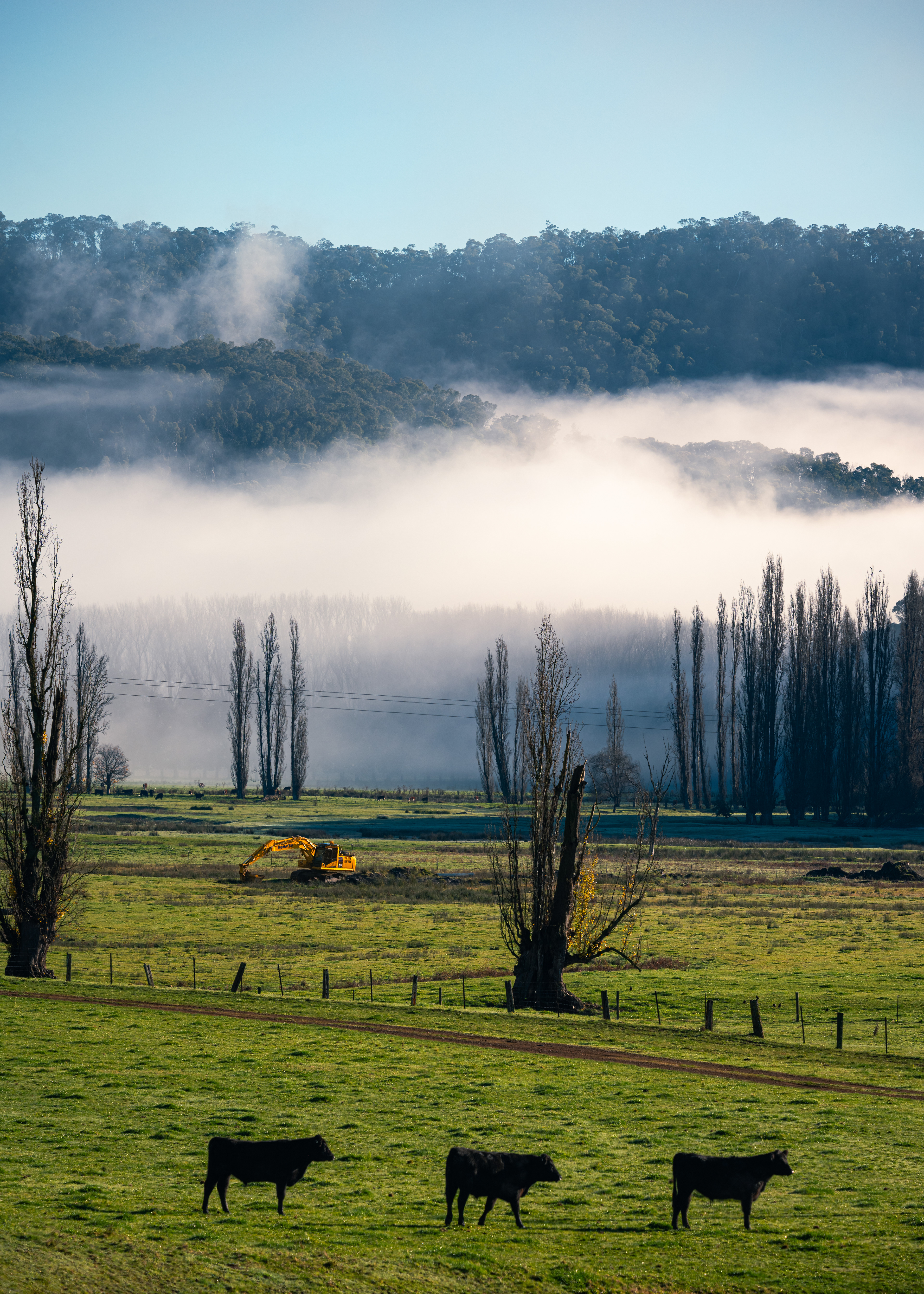 Corryong