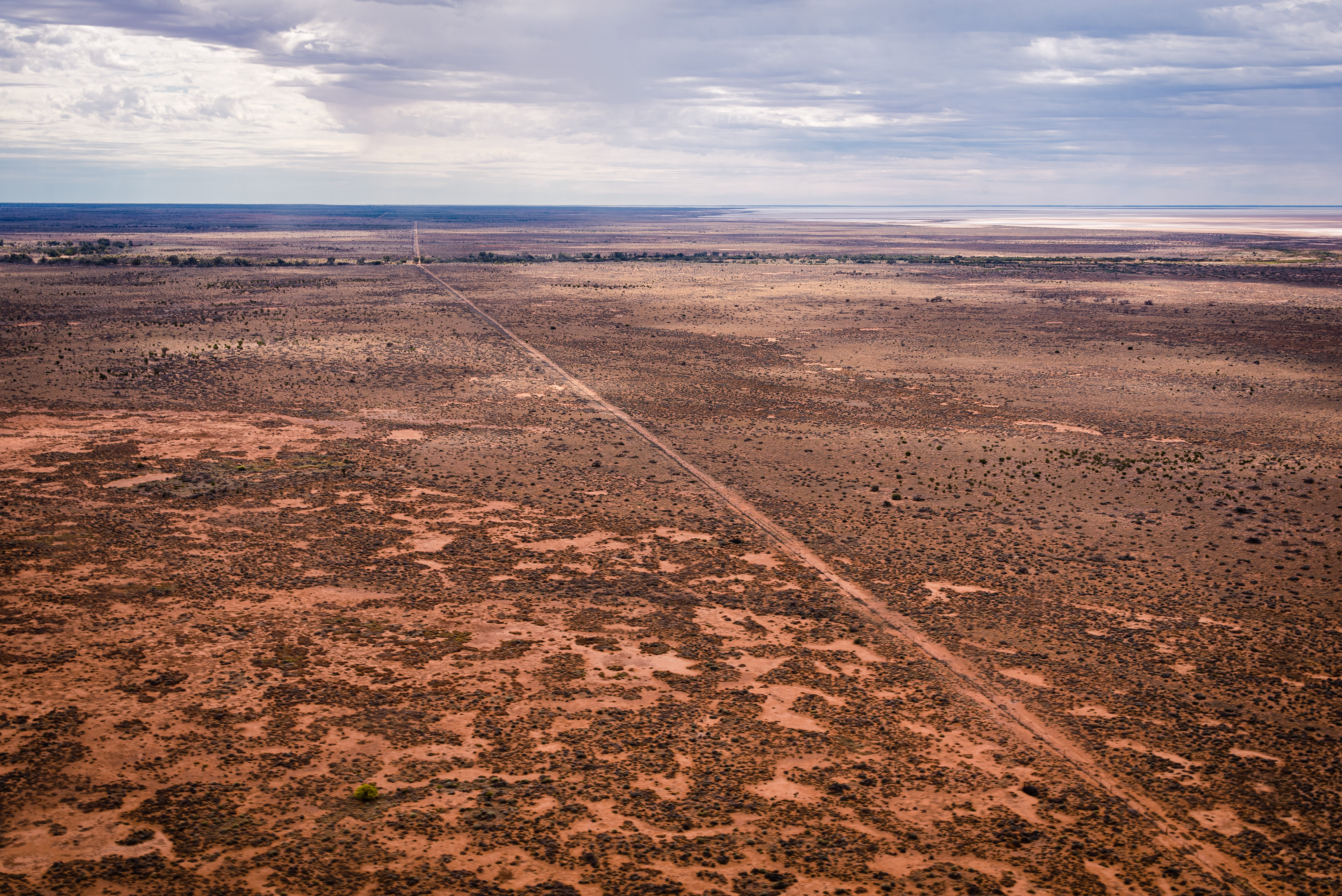 Dingo Fence, Strzelecki Desert