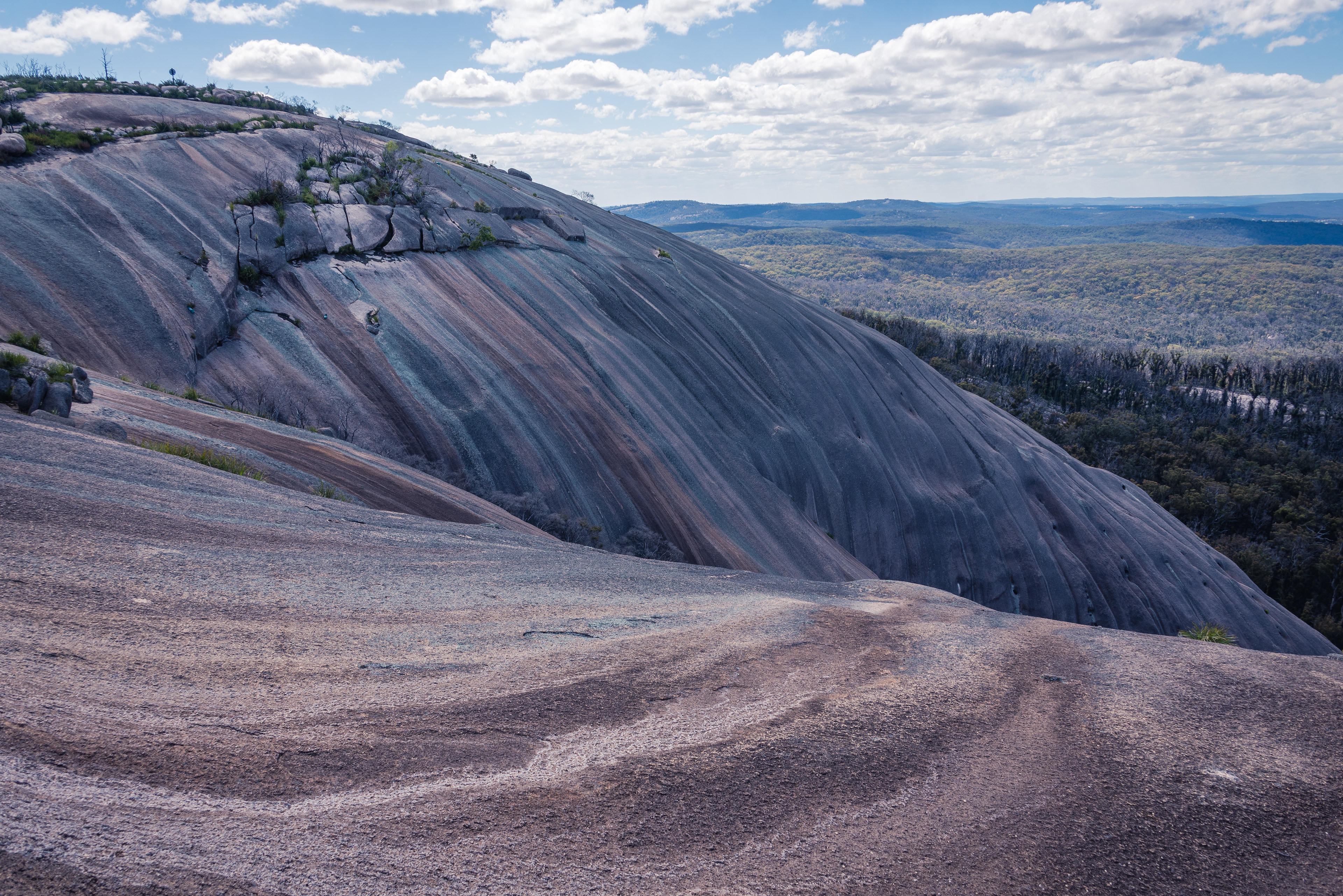 Bald Rock National Park