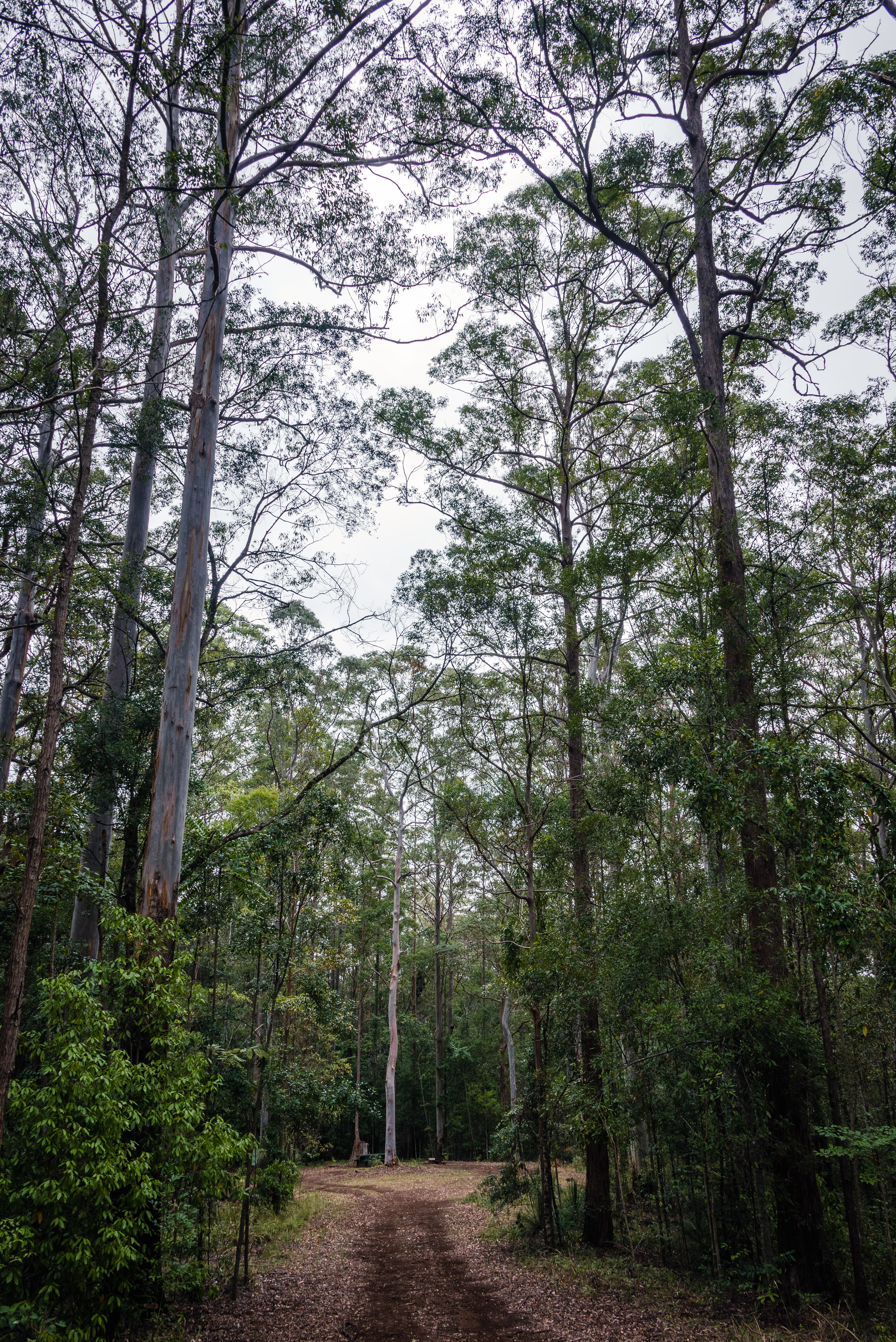 Richmond Range National Park