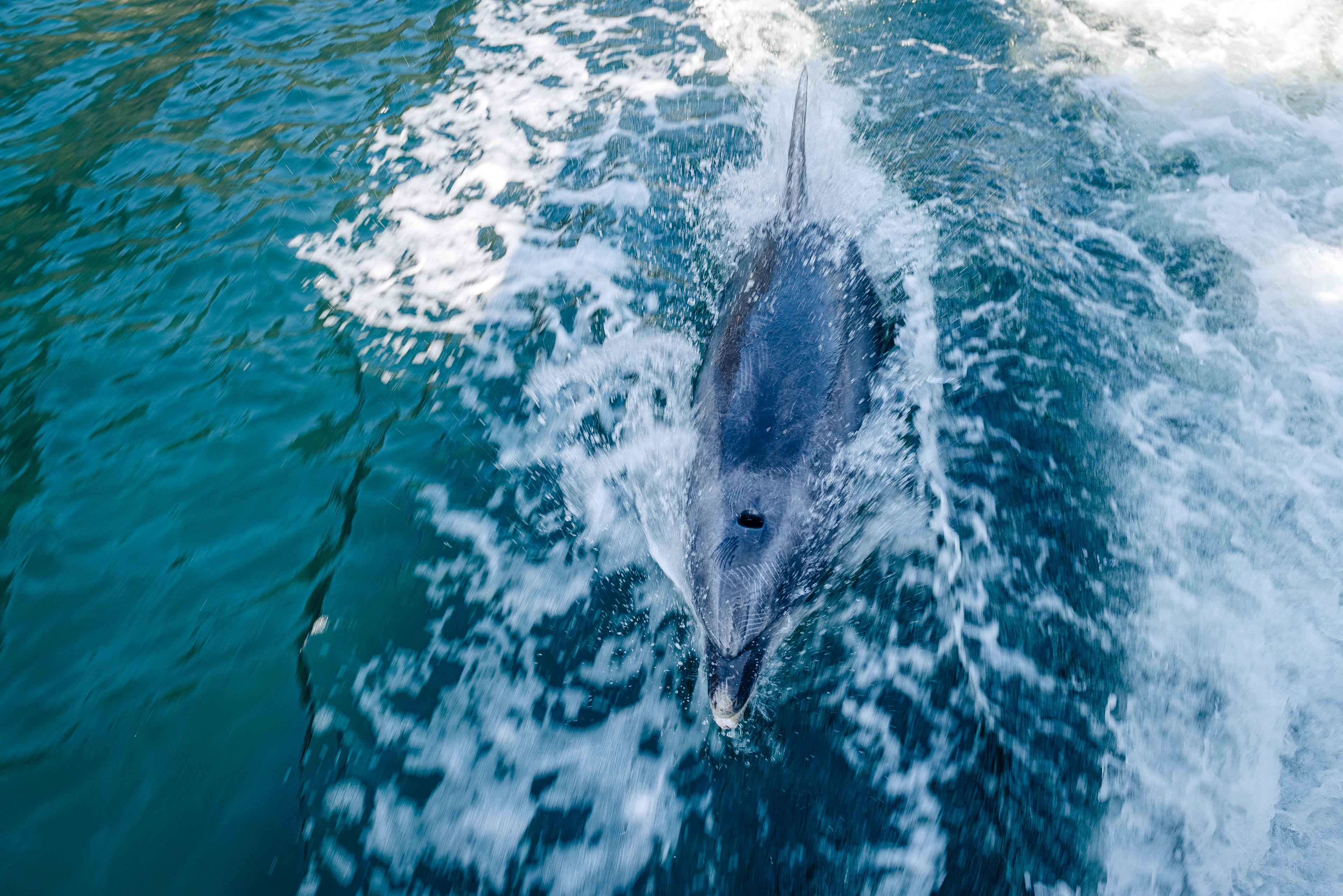 Milford Sound, South Island
