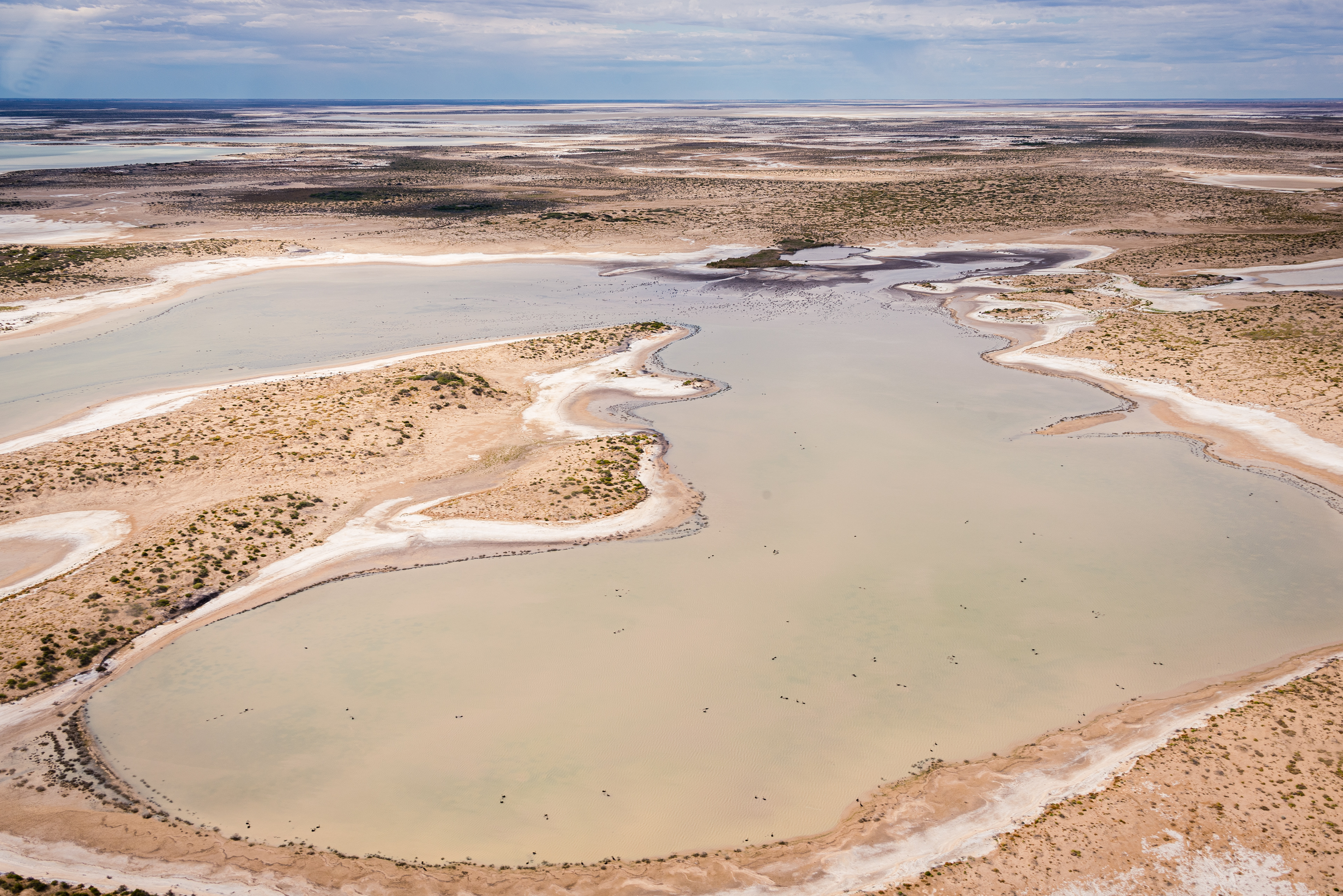 Lake Blanche, Strzelecki Desert