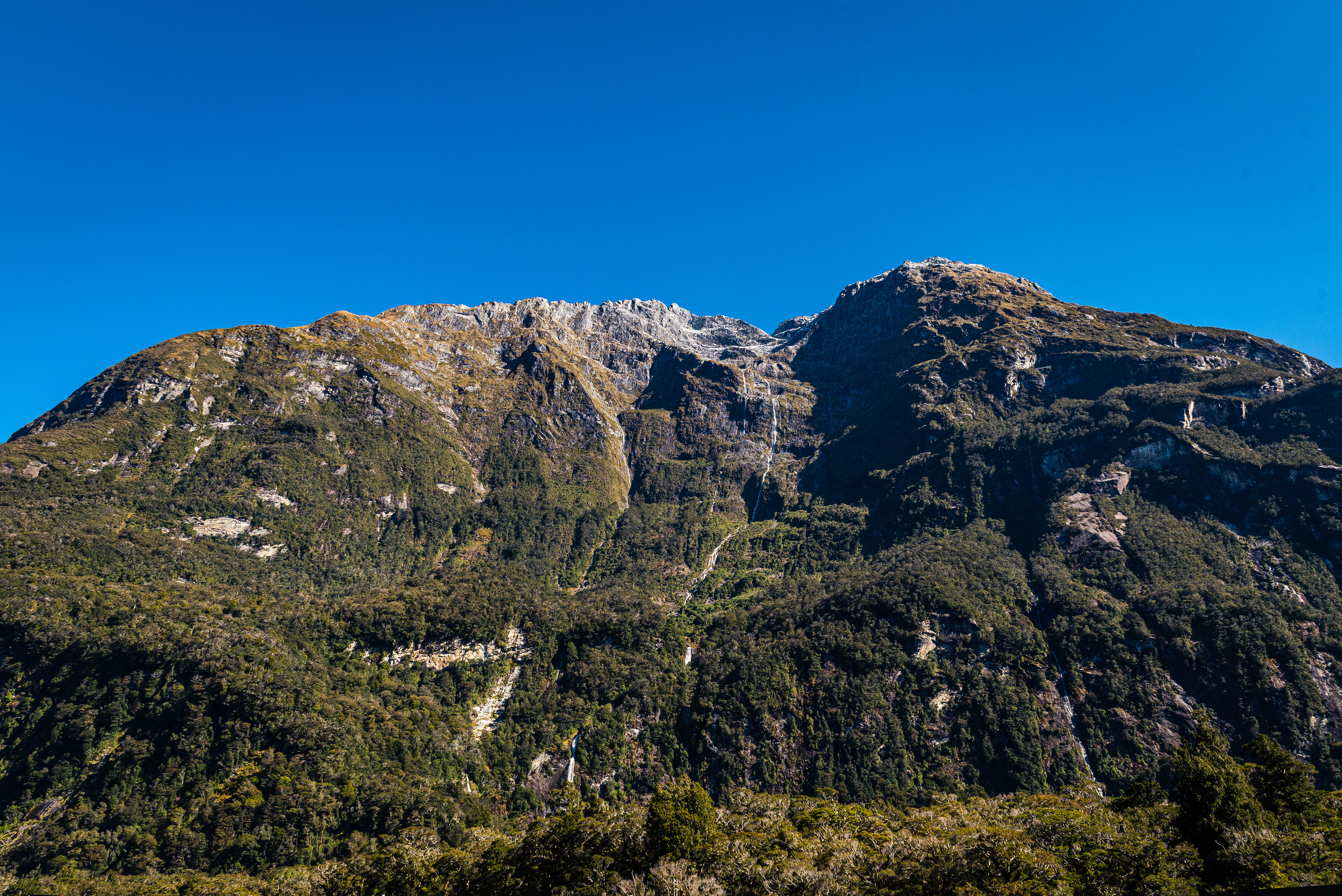 Milford Sound, South Island