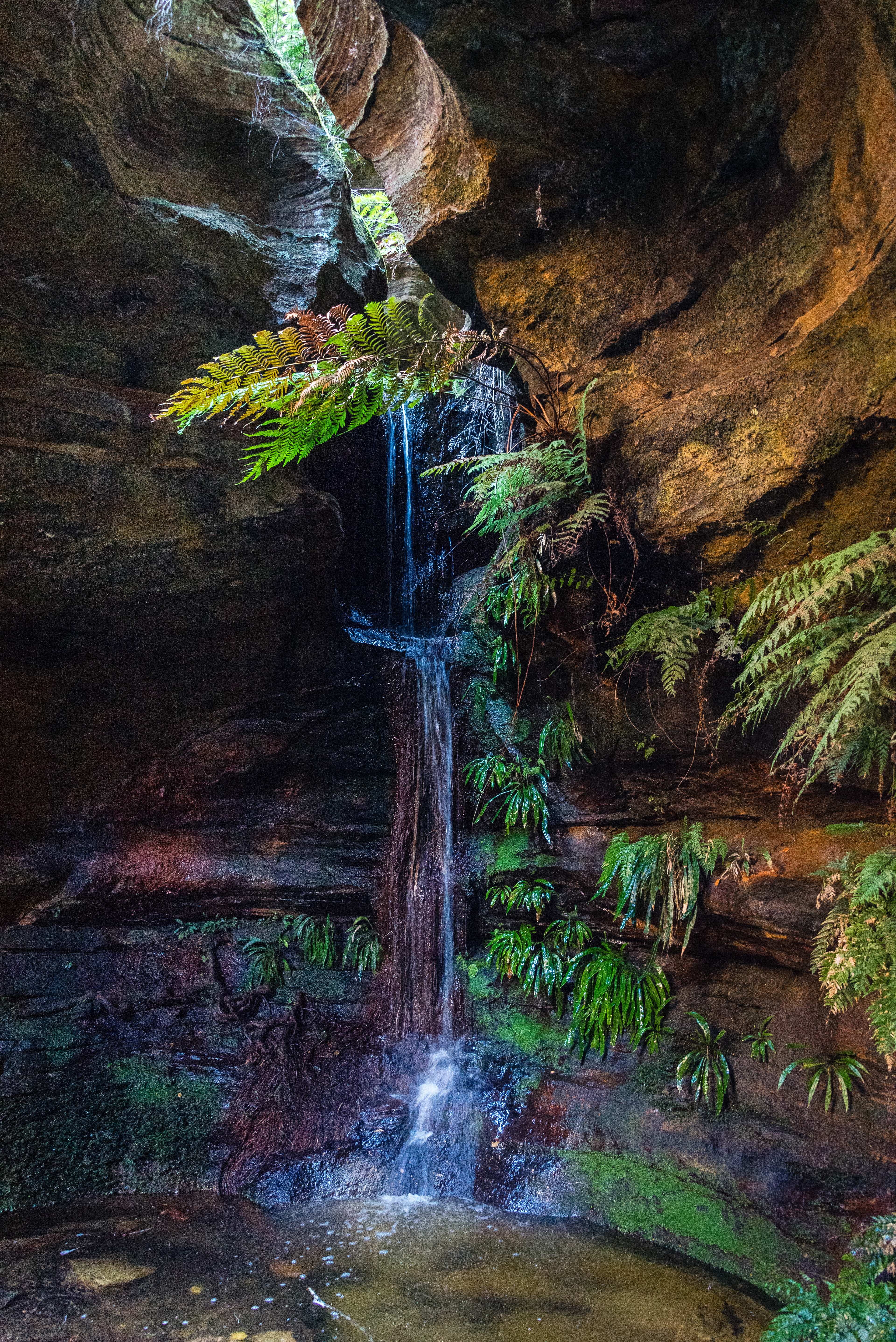 Mugii Murum-Ban, Capertee