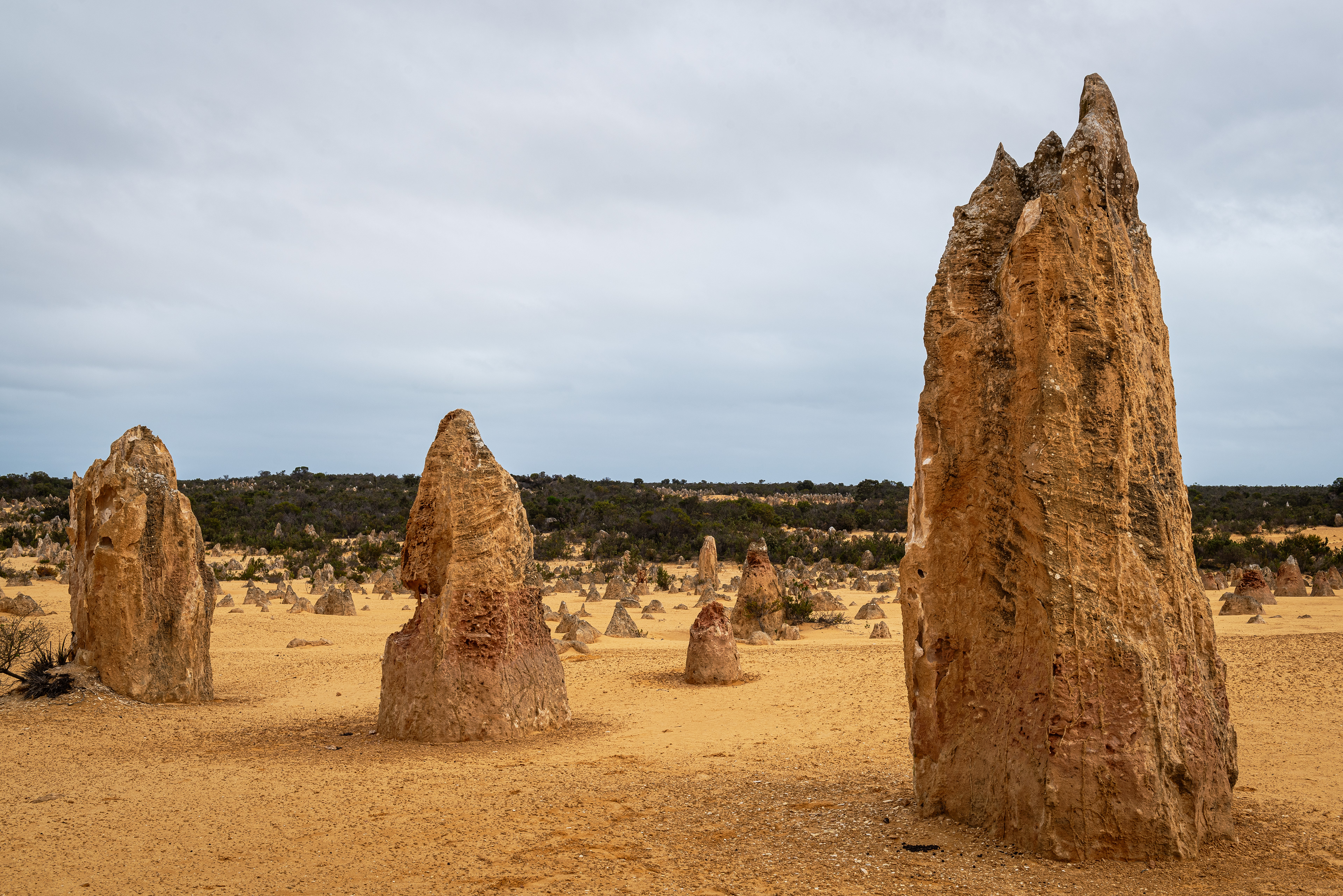 The Pinnacles Desert, Nambung National Park