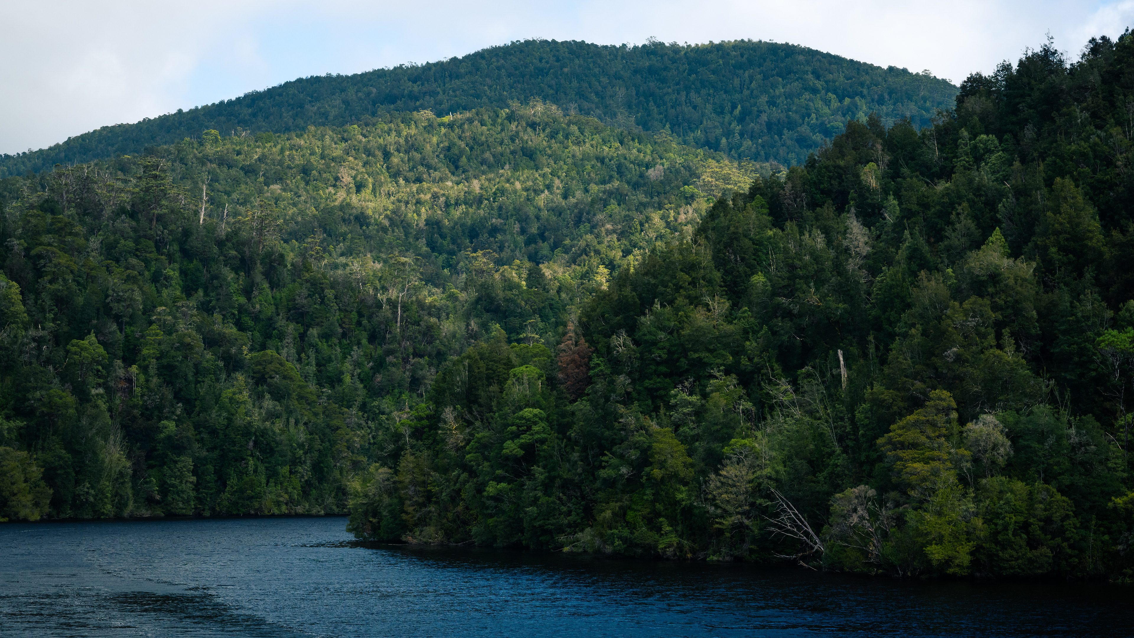 Gordon River