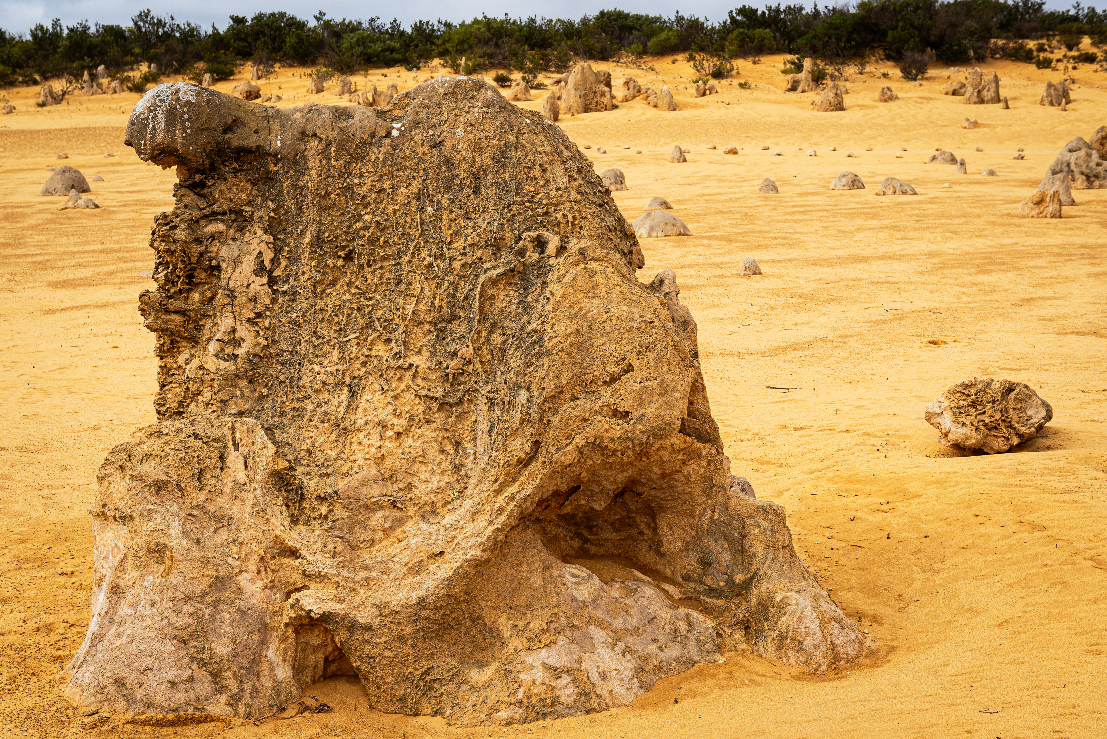 The Pinnacles Desert, Nambung National Park