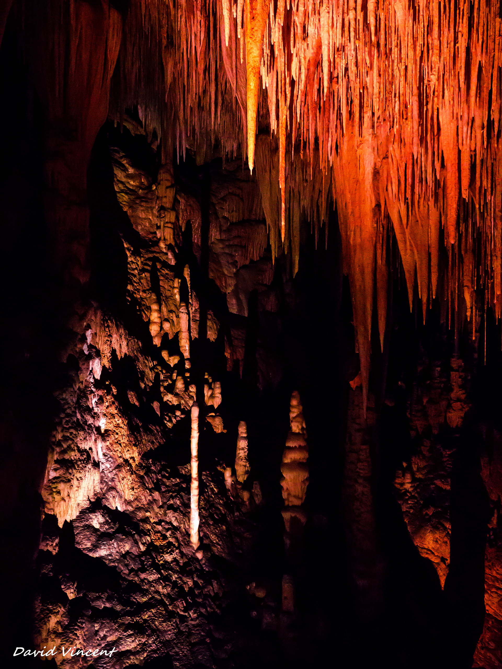 Hastings Caves