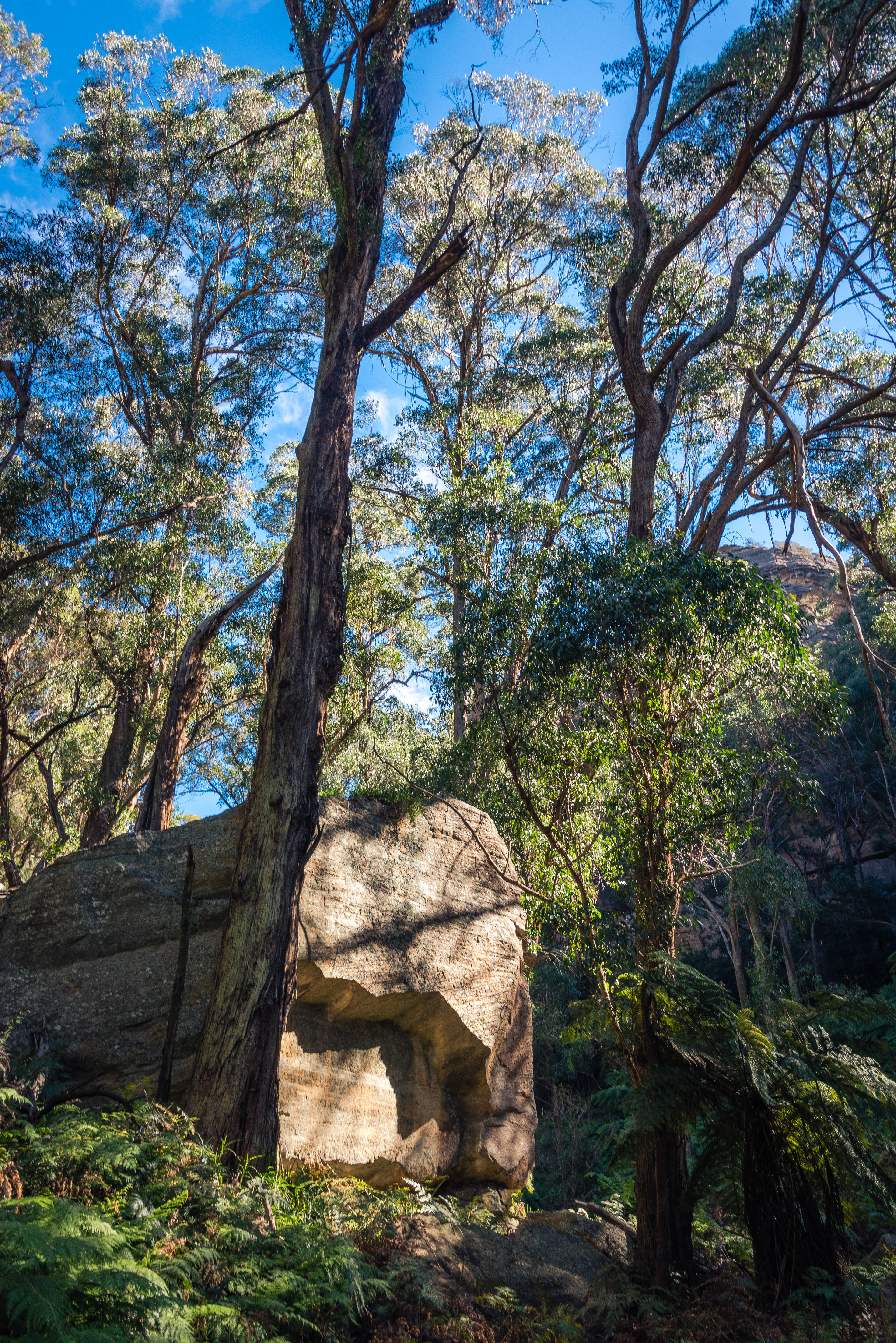 Mugii Murum-Ban, Capertee