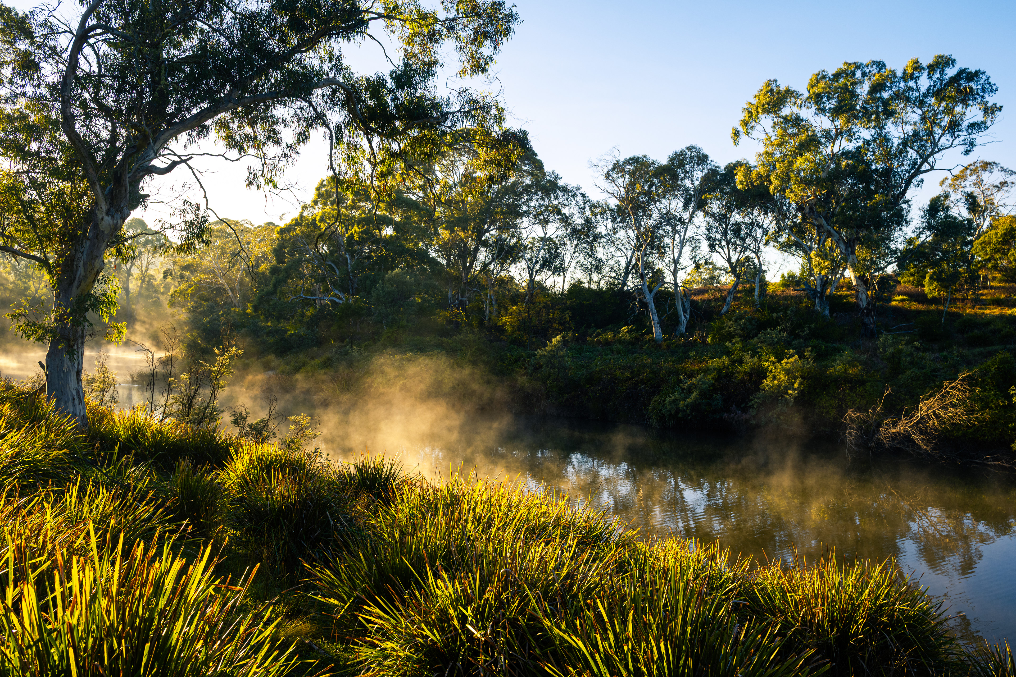 Berrima River Walk