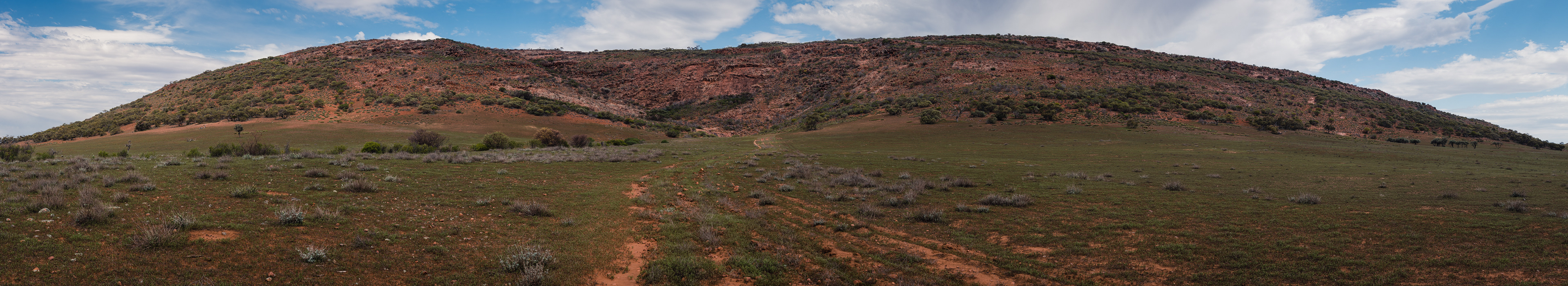 Gawler Ranges National Park