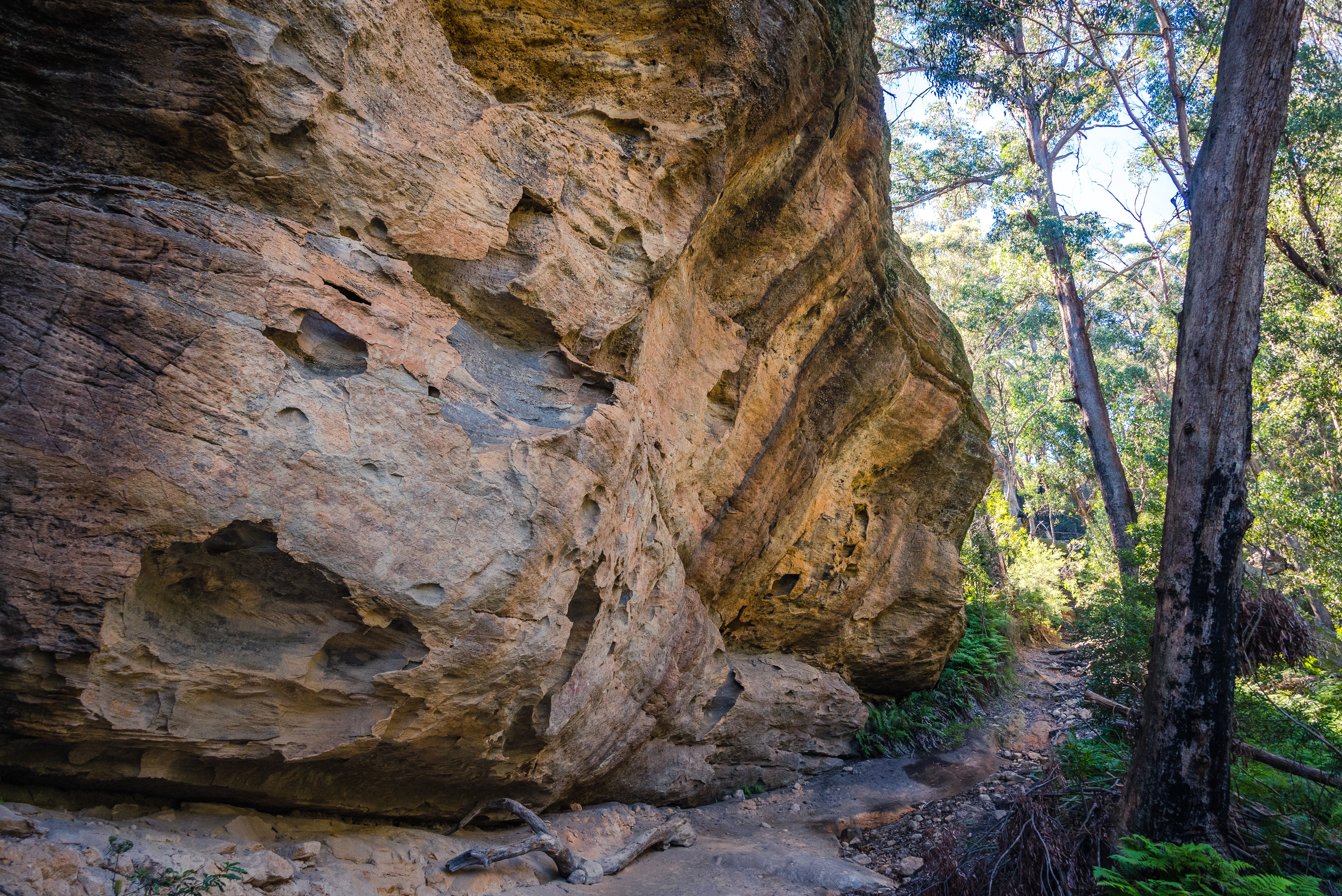 Mugii Murum-Ban, Capertee