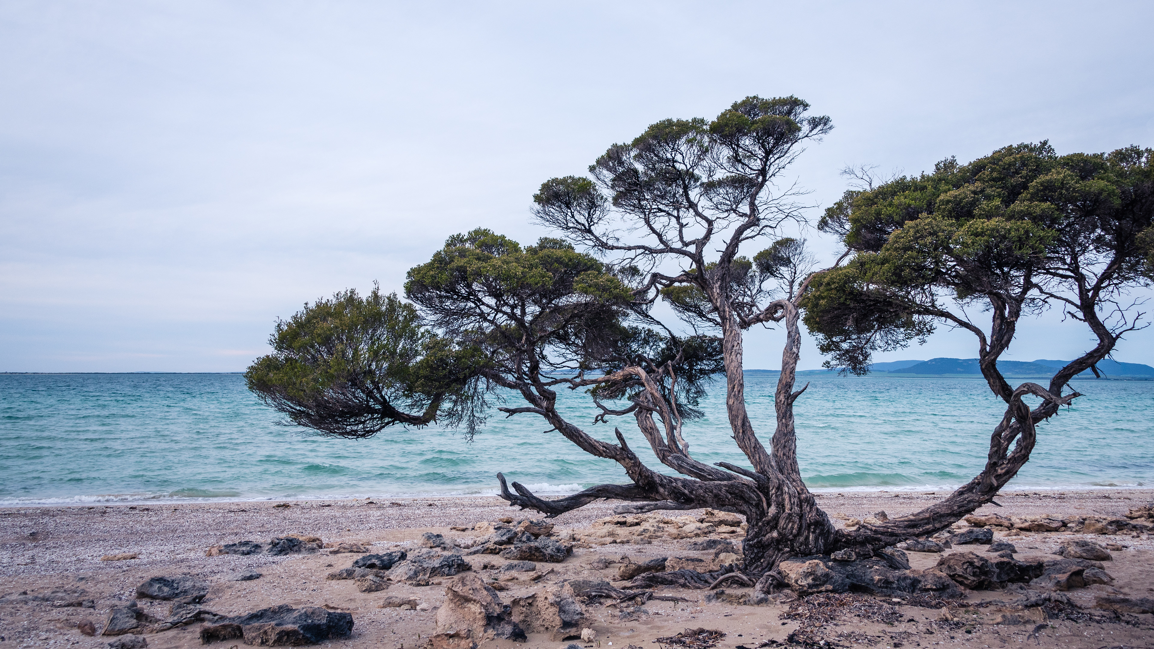 Coffin Bay National Park