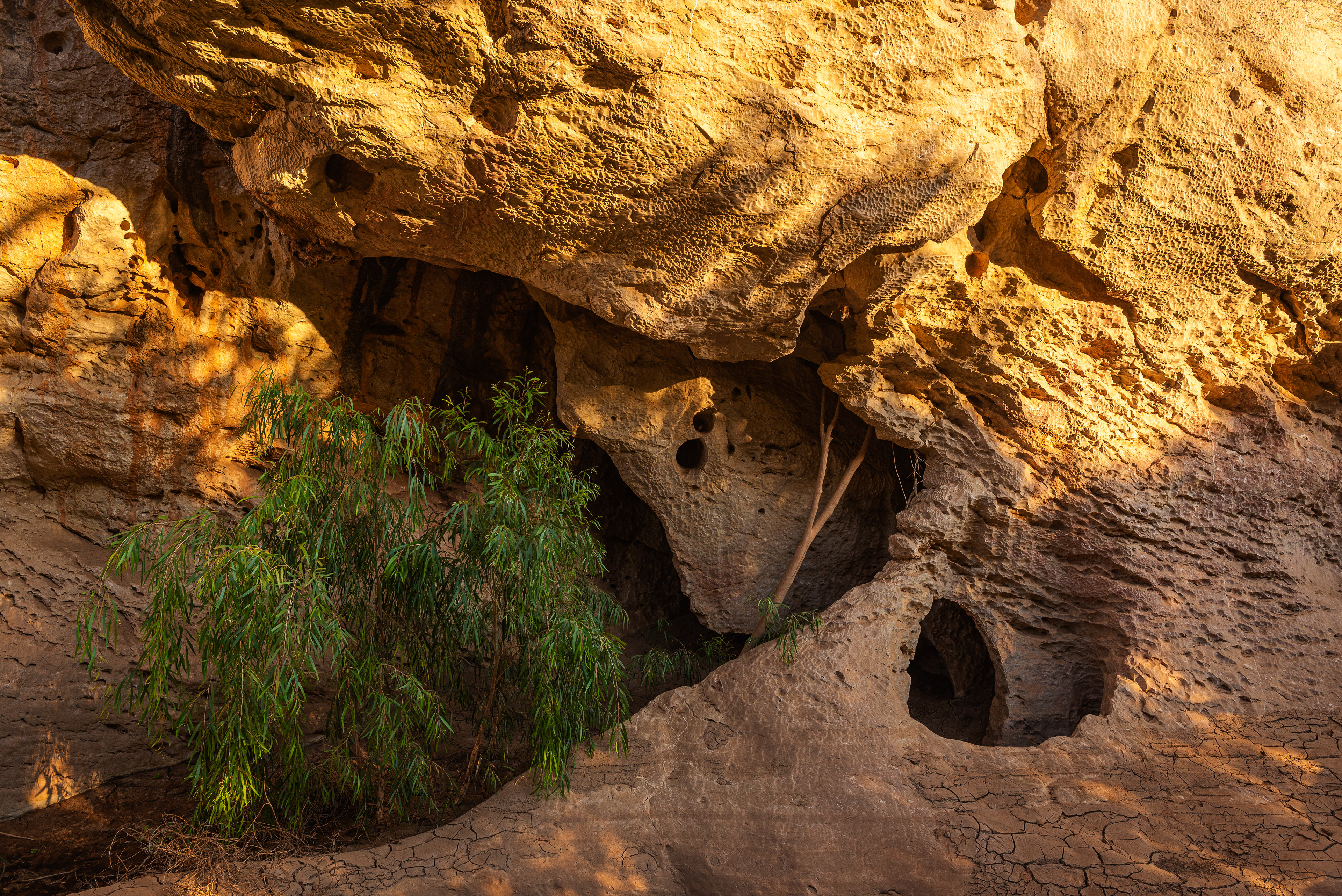 Windjana Gorge (Bandilngan)