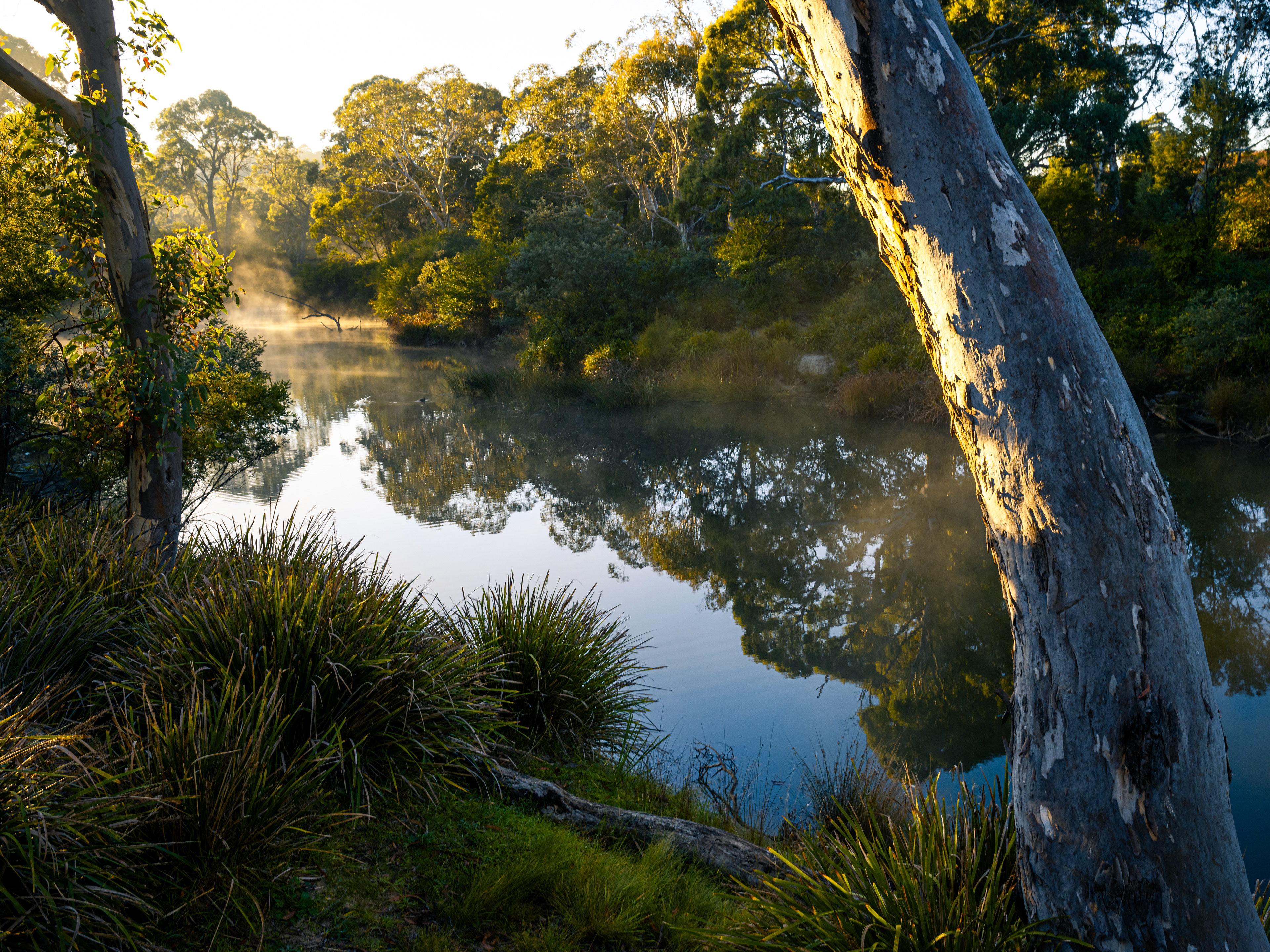 Berrima River Walk
